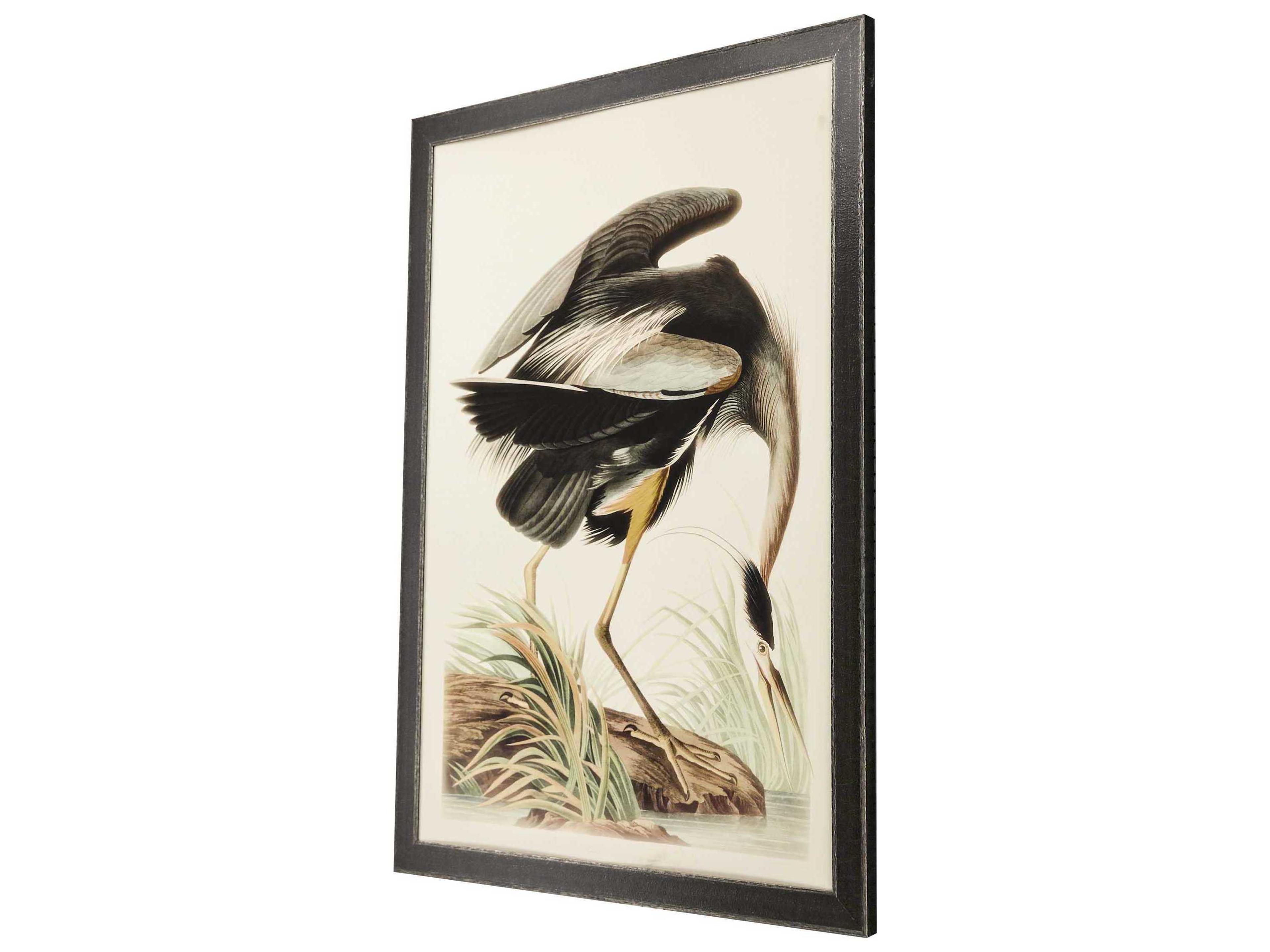 Paragon Great Blue Heron Framed Print