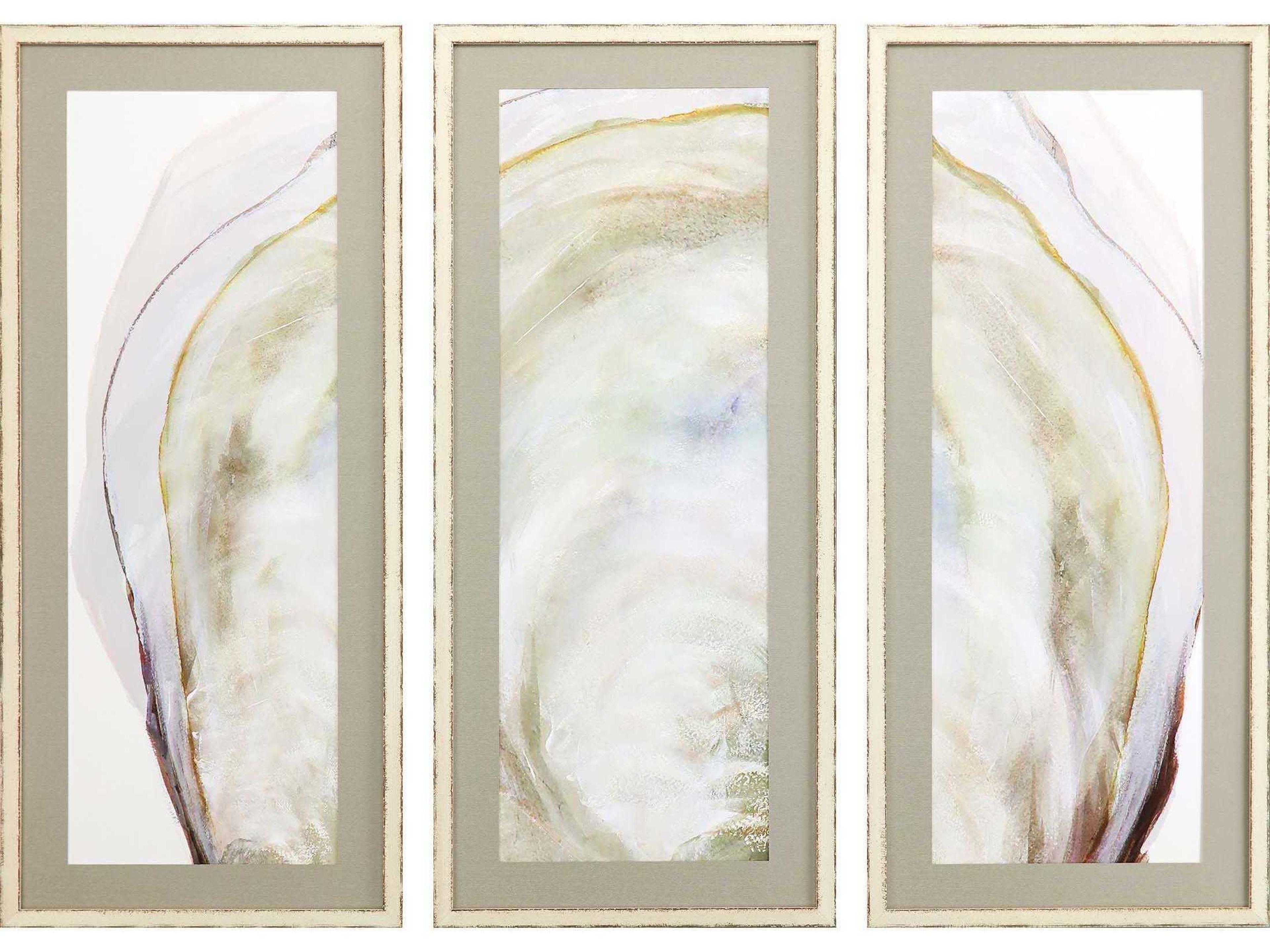Paragon Oyster Shell Framed Prints Set of 3