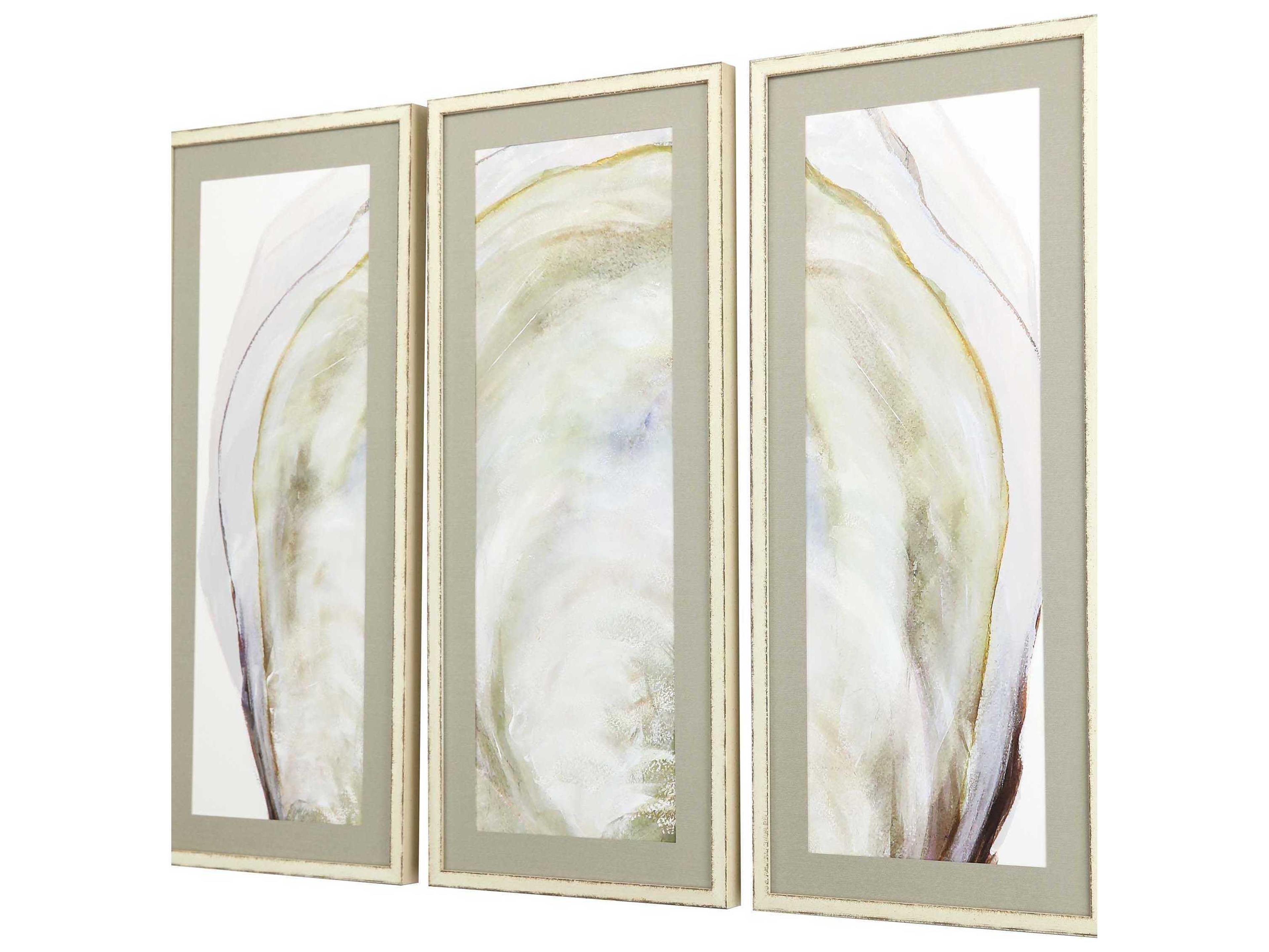 Paragon Oyster Shell Framed Prints Set of 3