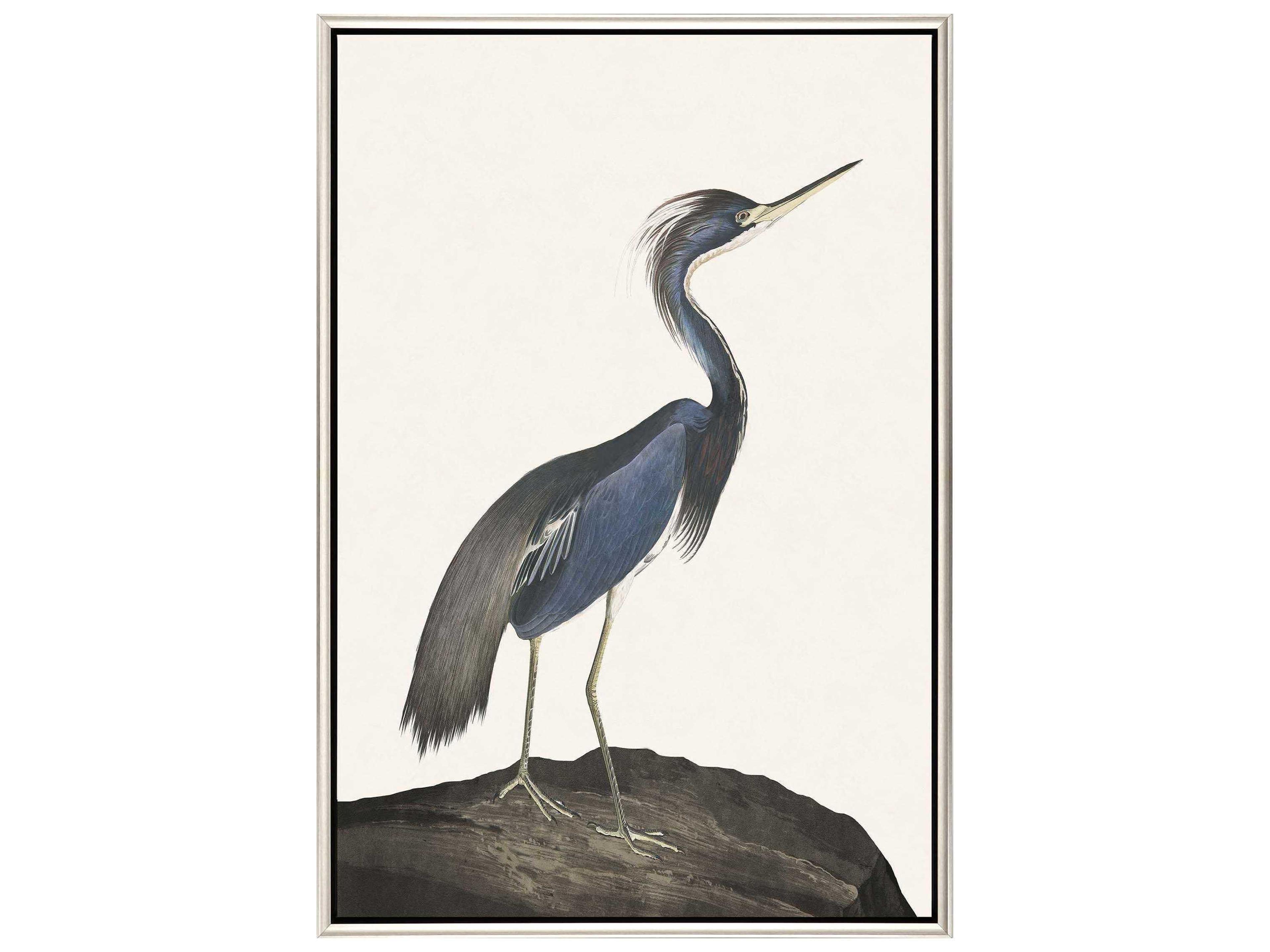Great Heron-I Canvas Wall Art