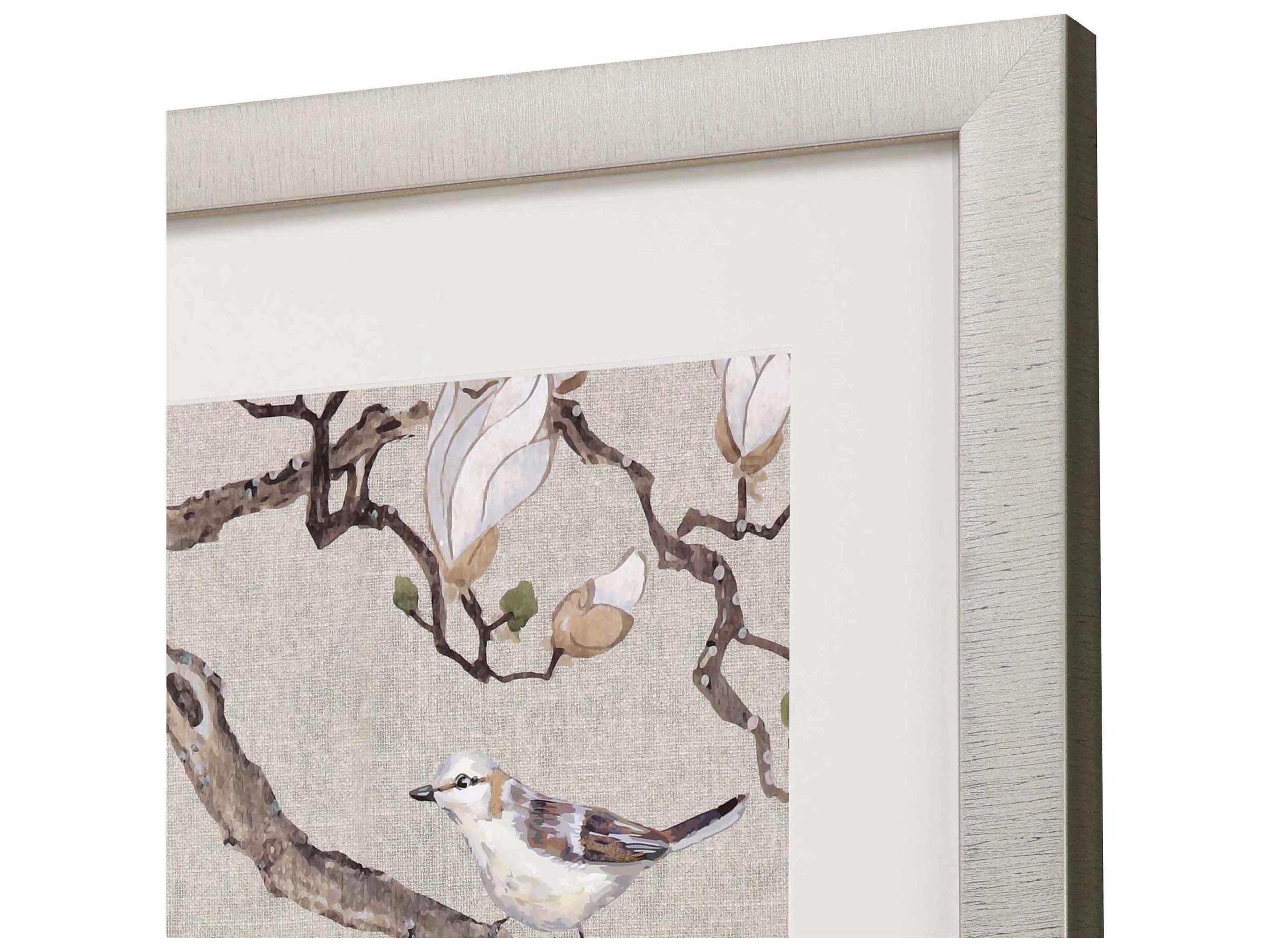 Paragon Magnolia Blossom Framed Print