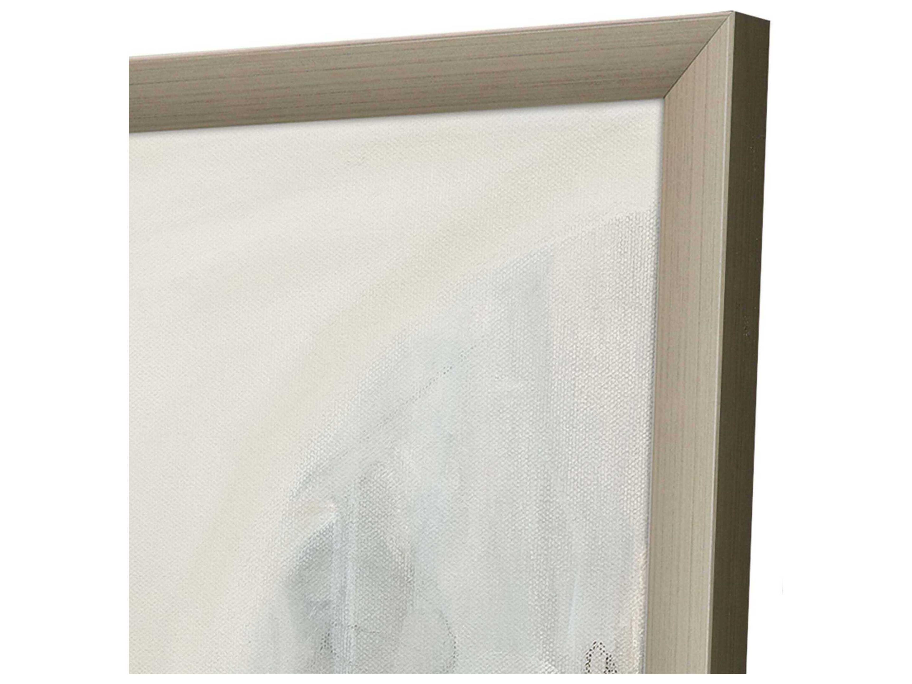 Paragon Abstract Delicate Gray Wall Art Set of 2