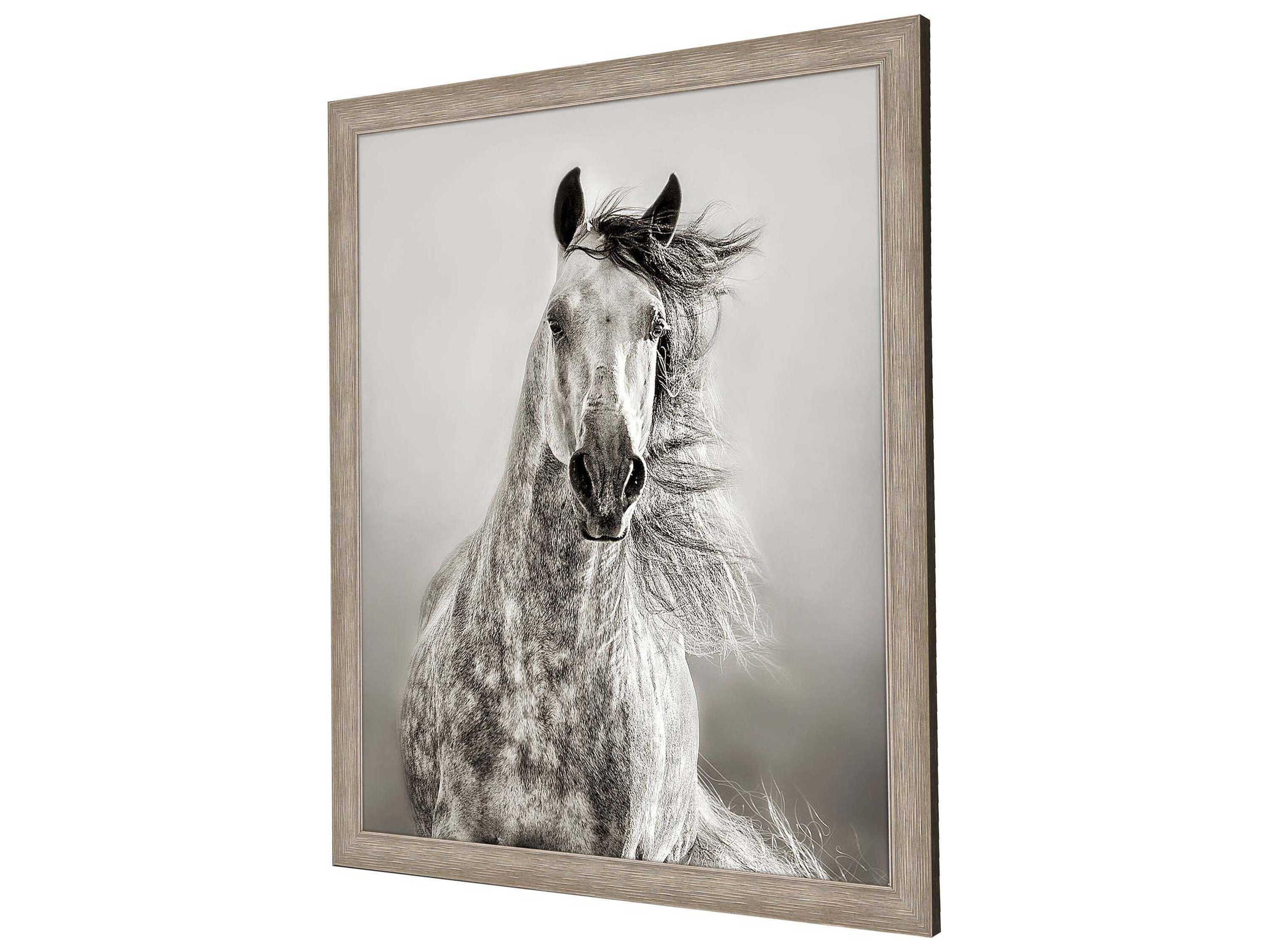 Paragon Animals Caballo de Andaluz Wall Art