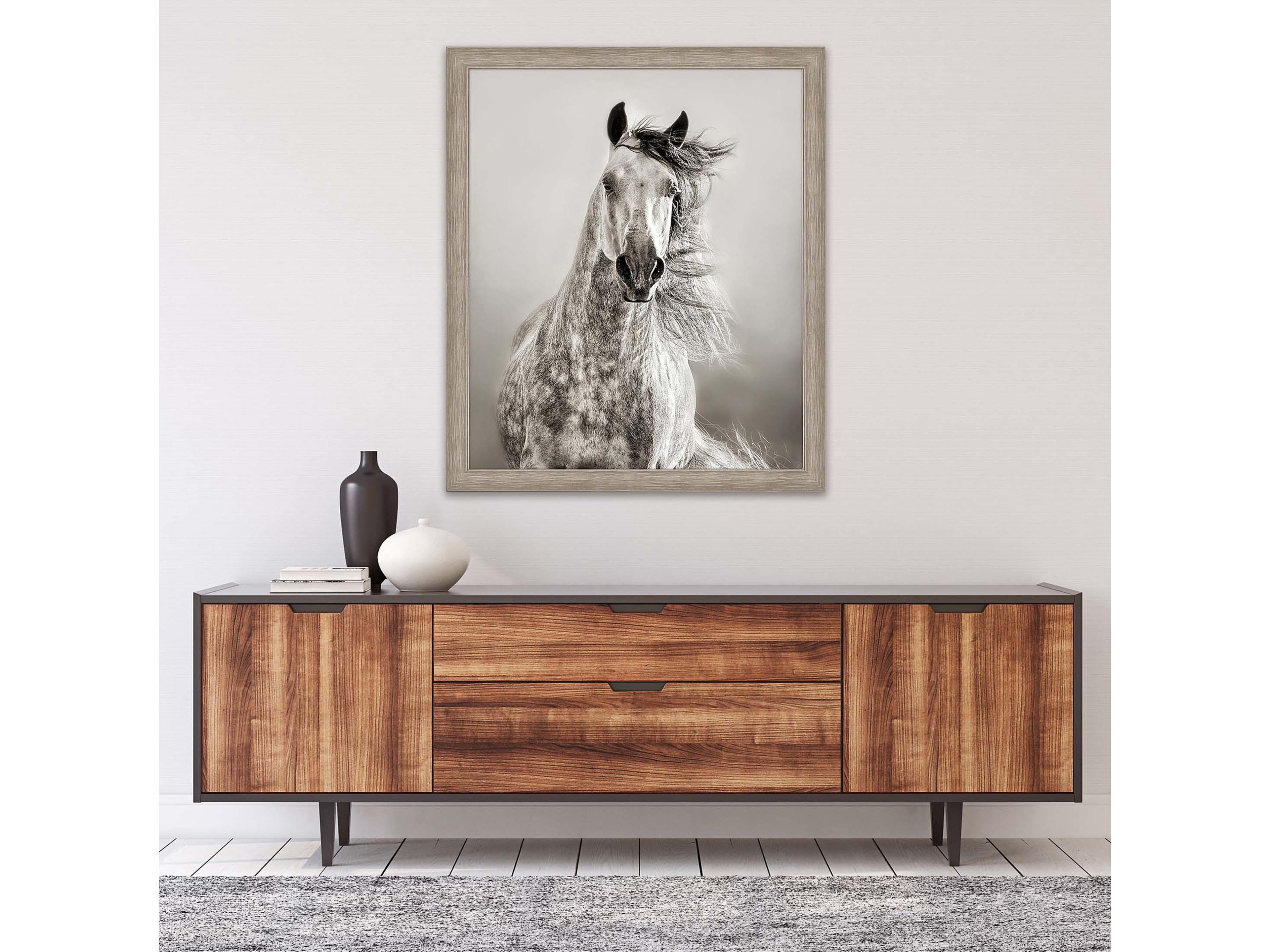 Paragon Animals Caballo de Andaluz Wall Art