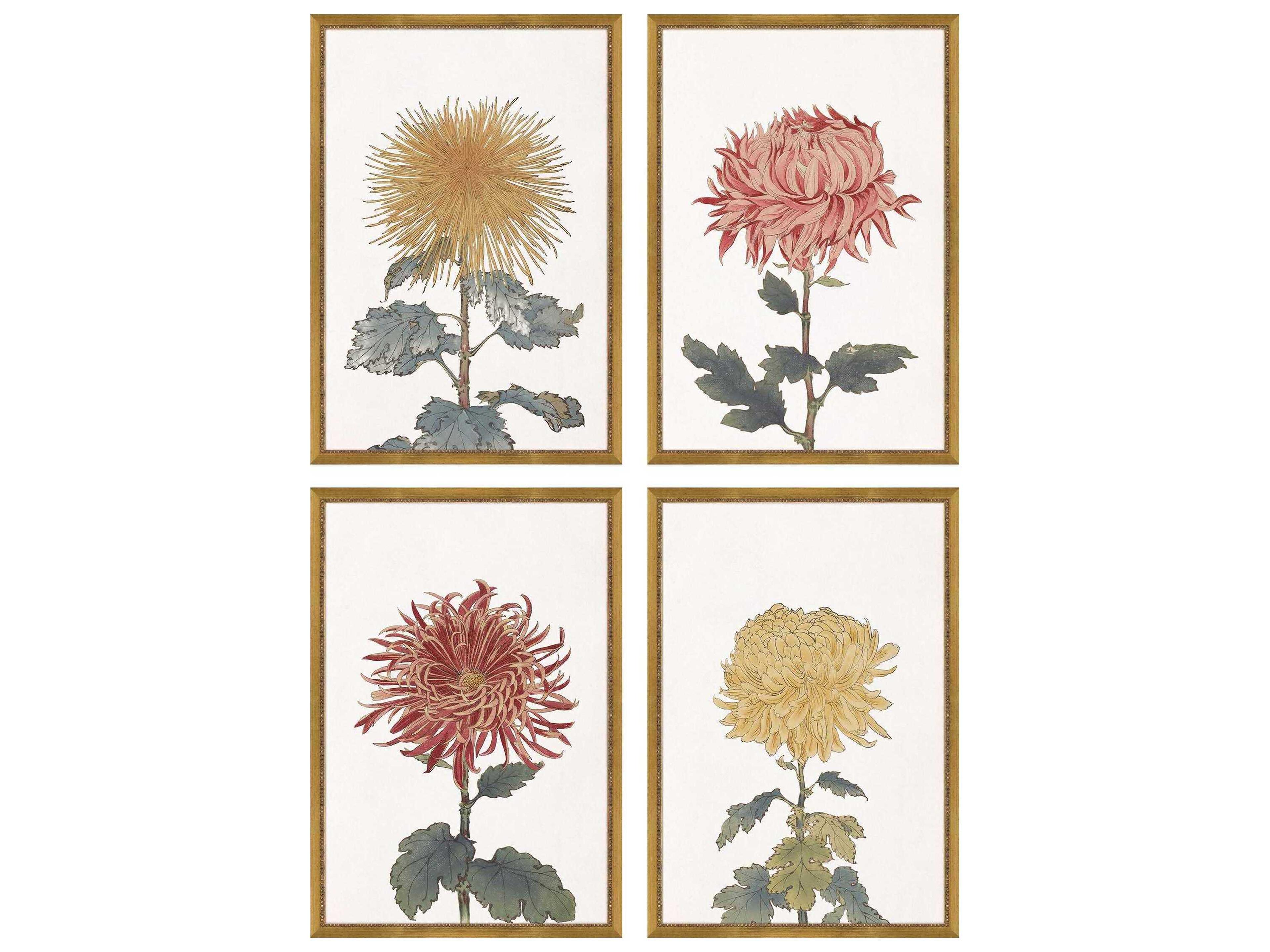 Florals Chrysanthemum Wall Art Set of 4