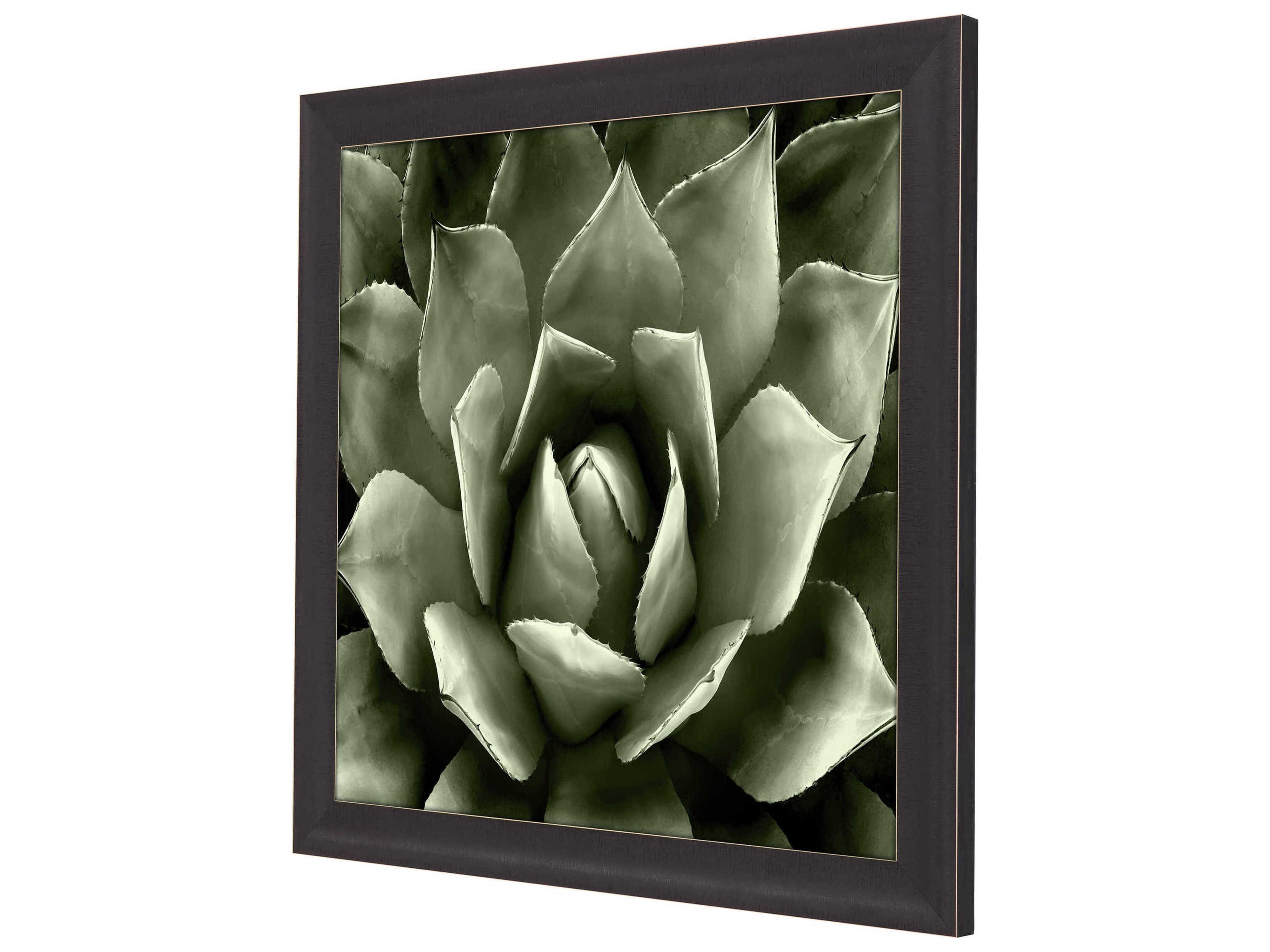 Paragon Florals Green Succulent-II Wall Art