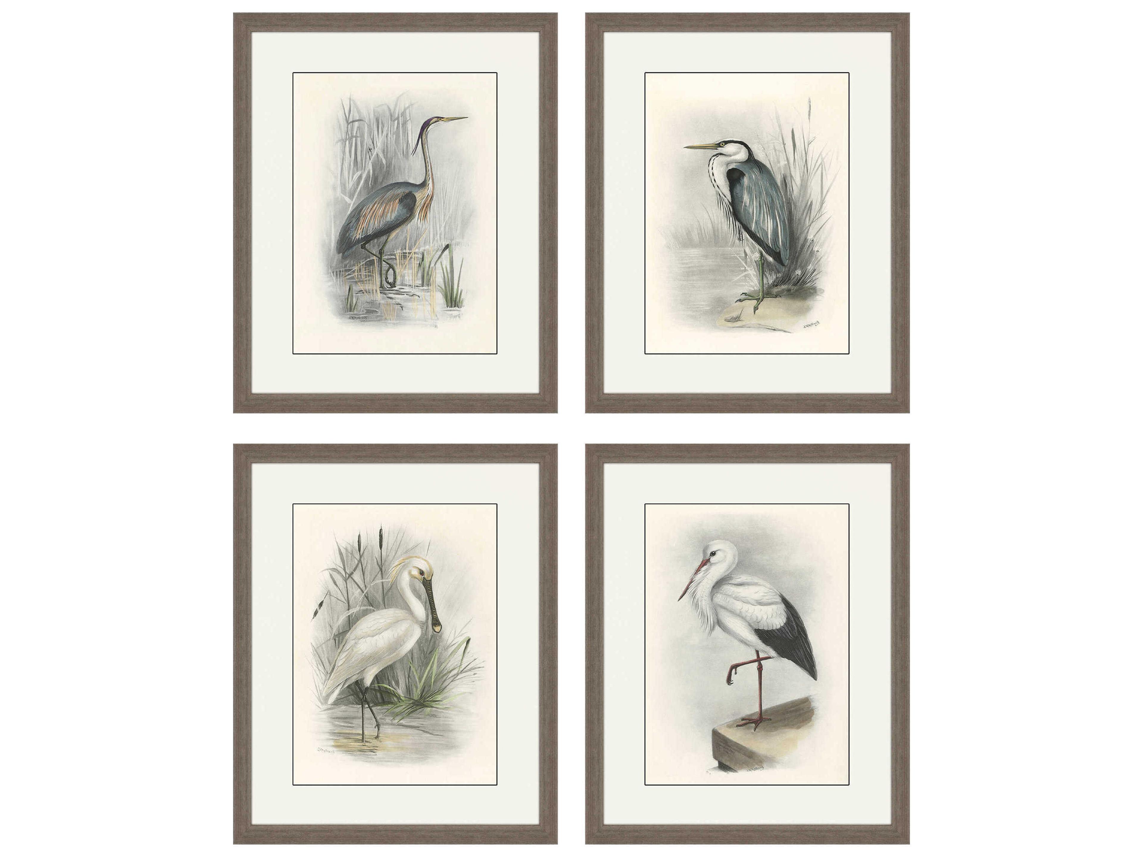 Paragon Animals Birds Wall Art Set of 4