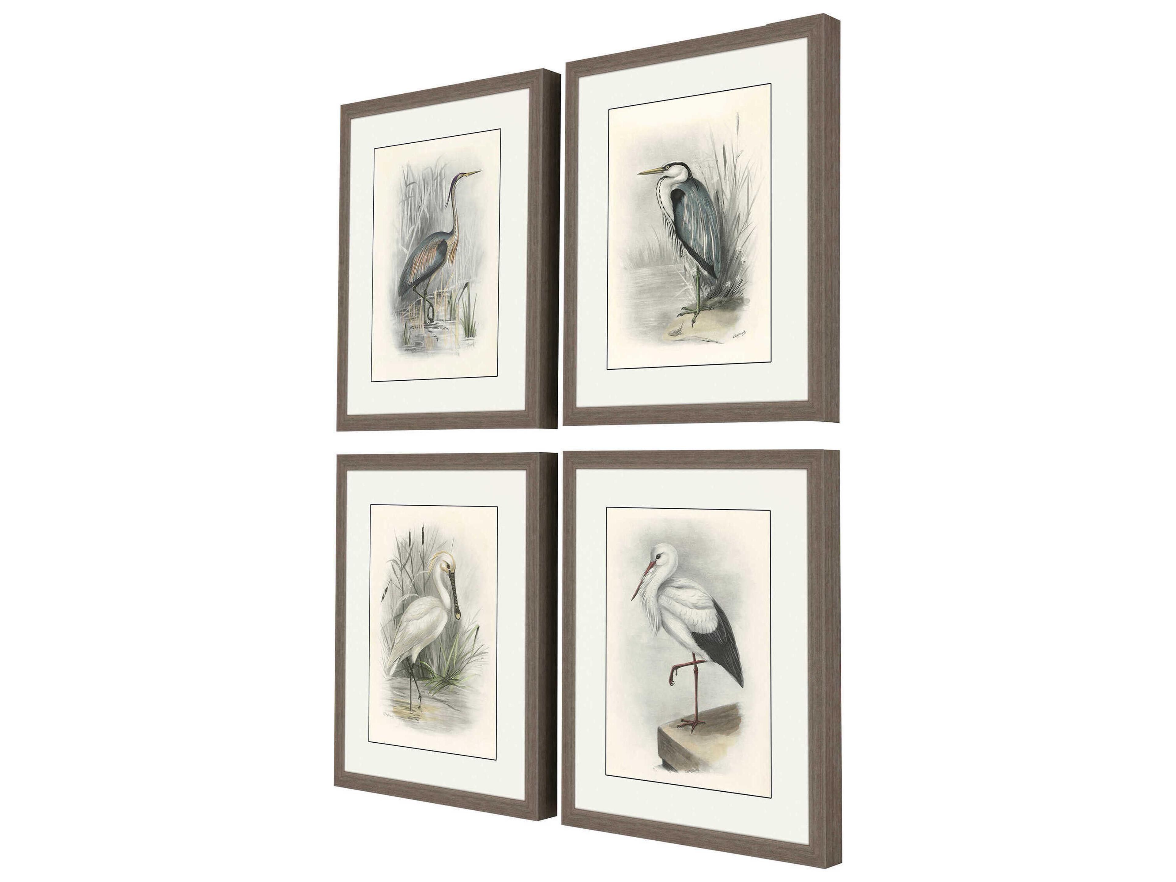 Paragon Animals Birds Wall Art Set of 4