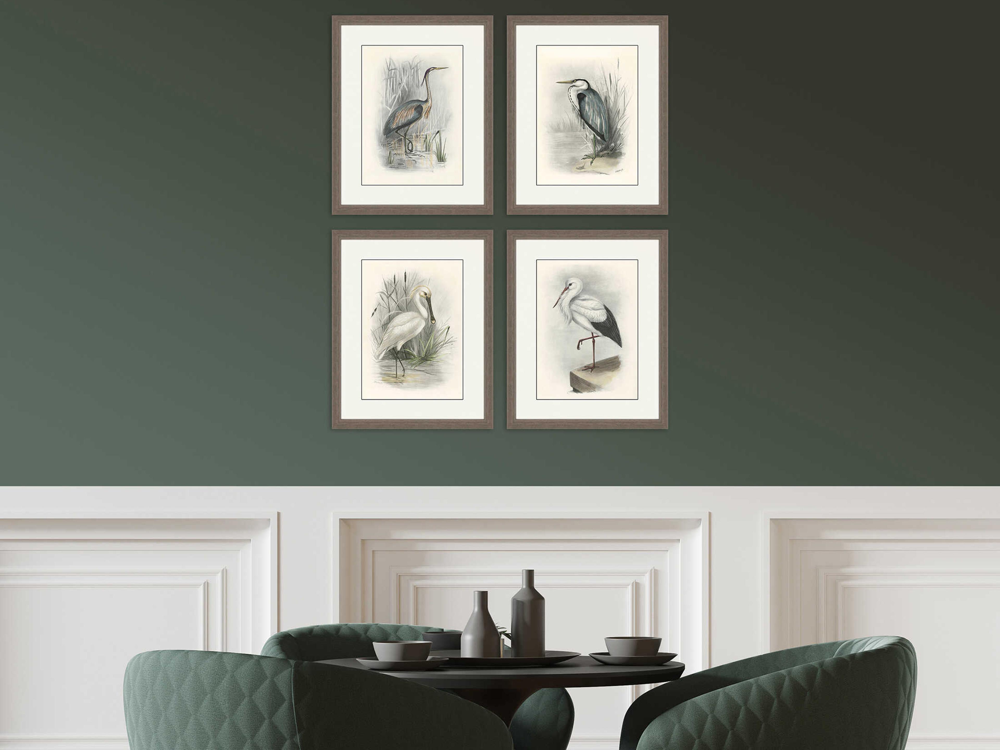 Paragon Animals Birds Wall Art Set of 4