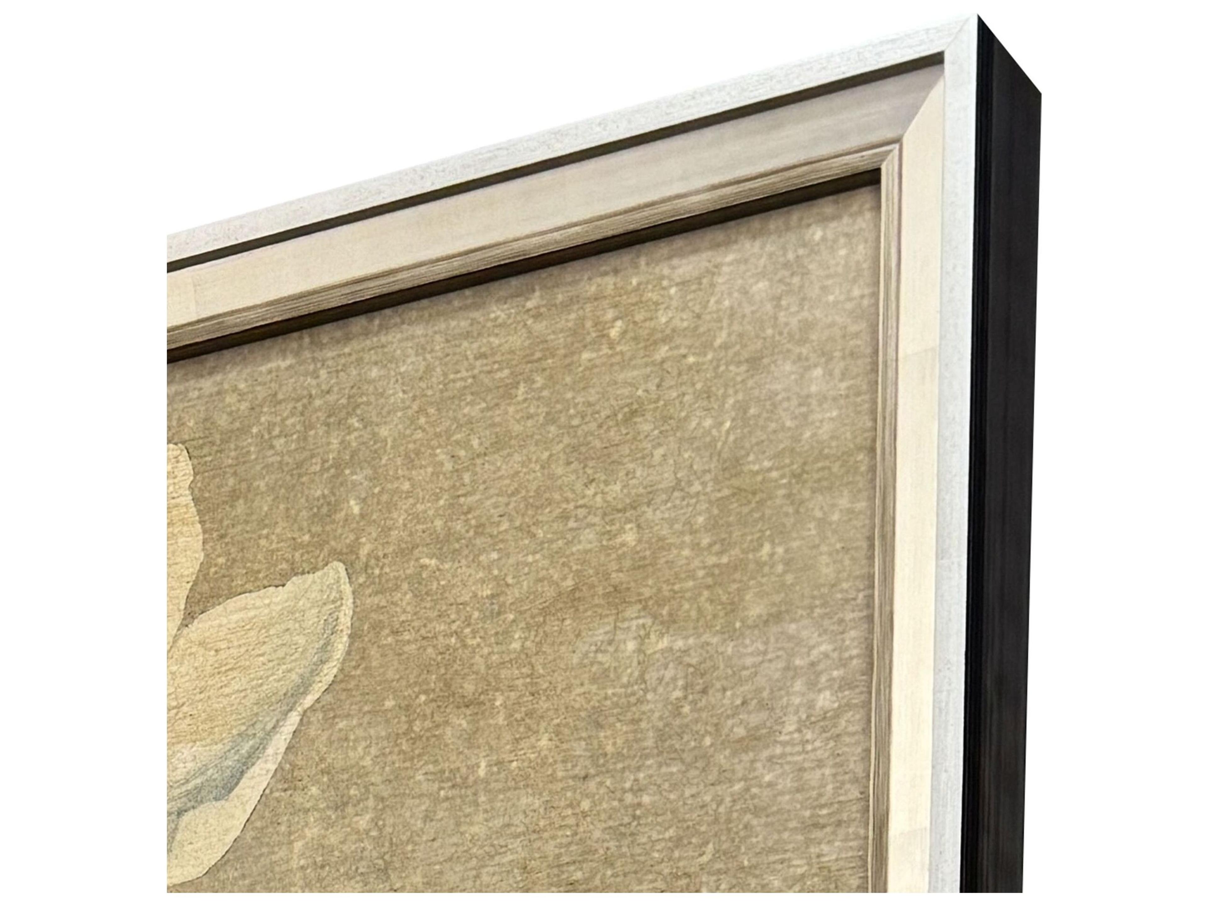 Paragon Anemones I Framed Art