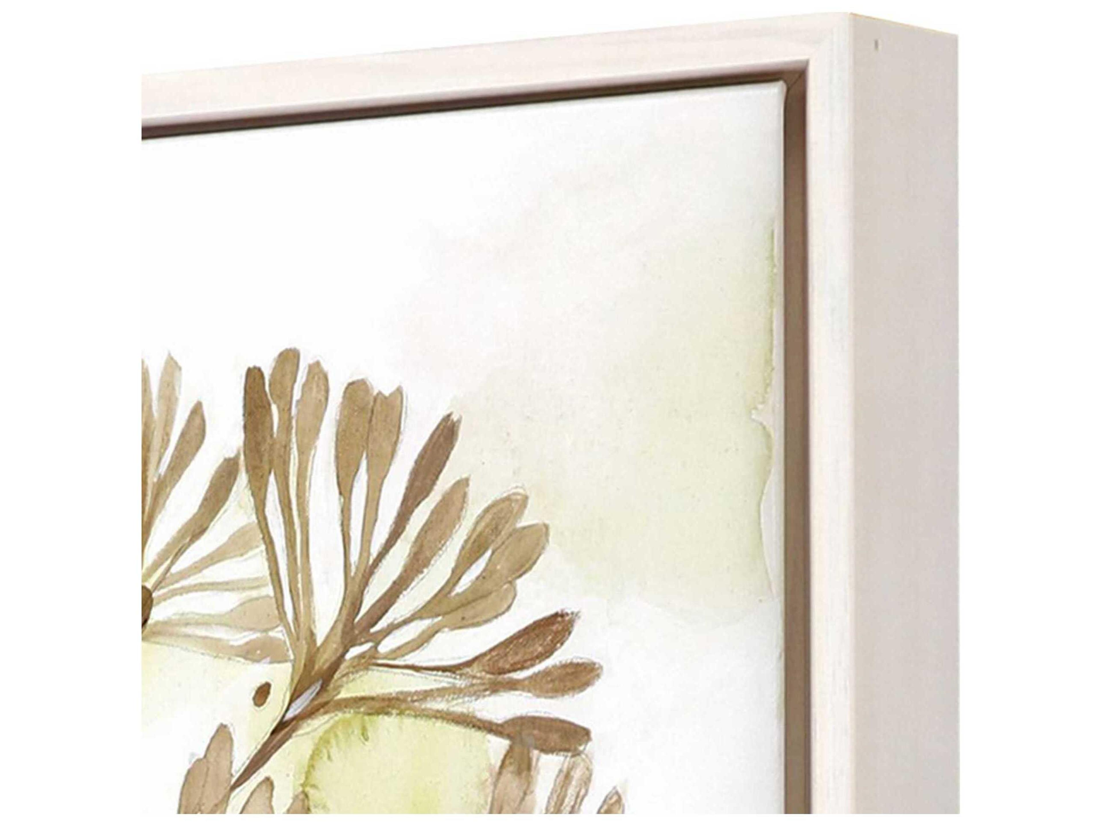 Paragon Florals Dandelion-I Canvas Wall Art