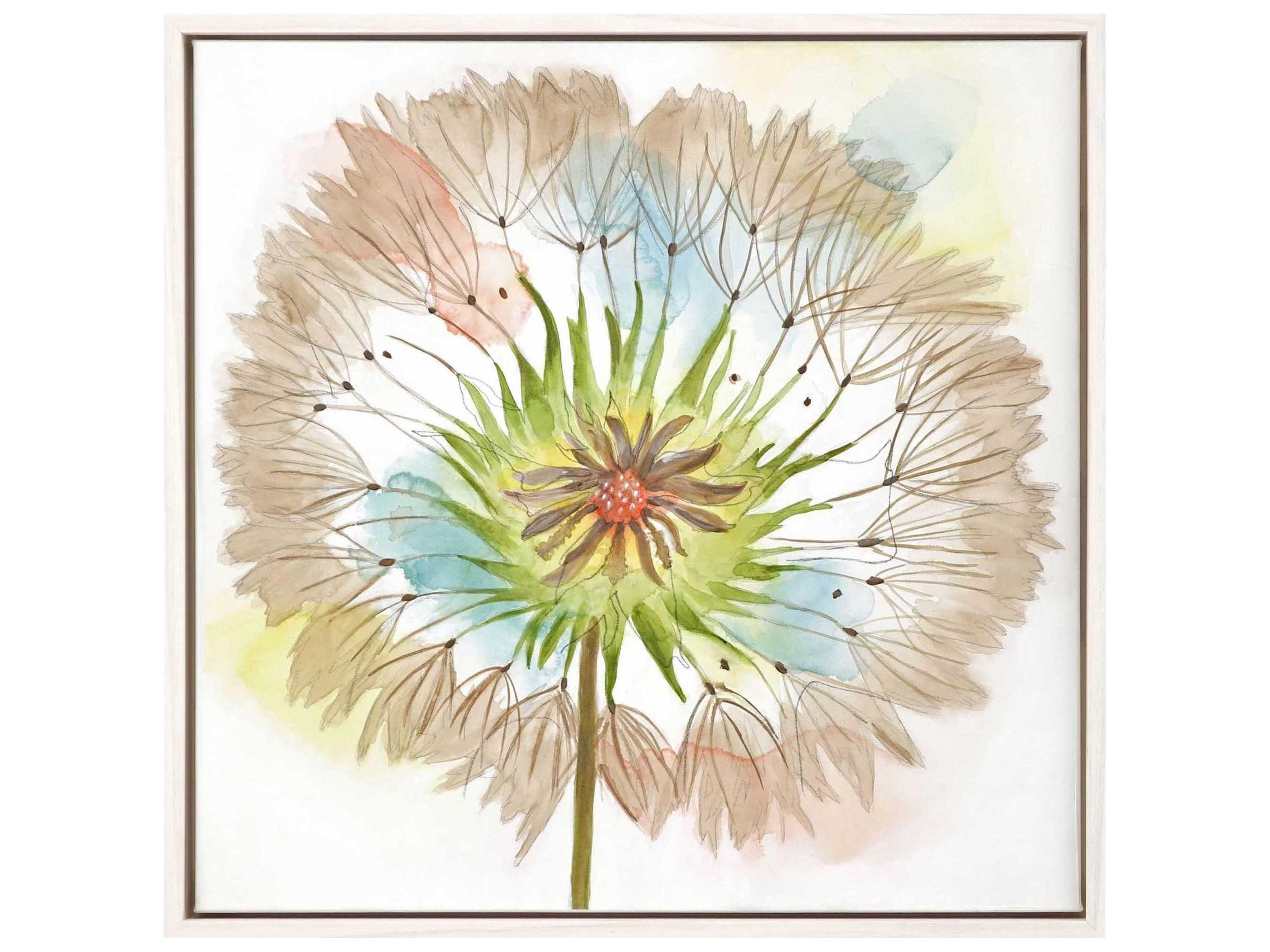 Paragon Florals Dandelion-IV Canvas Wall Art