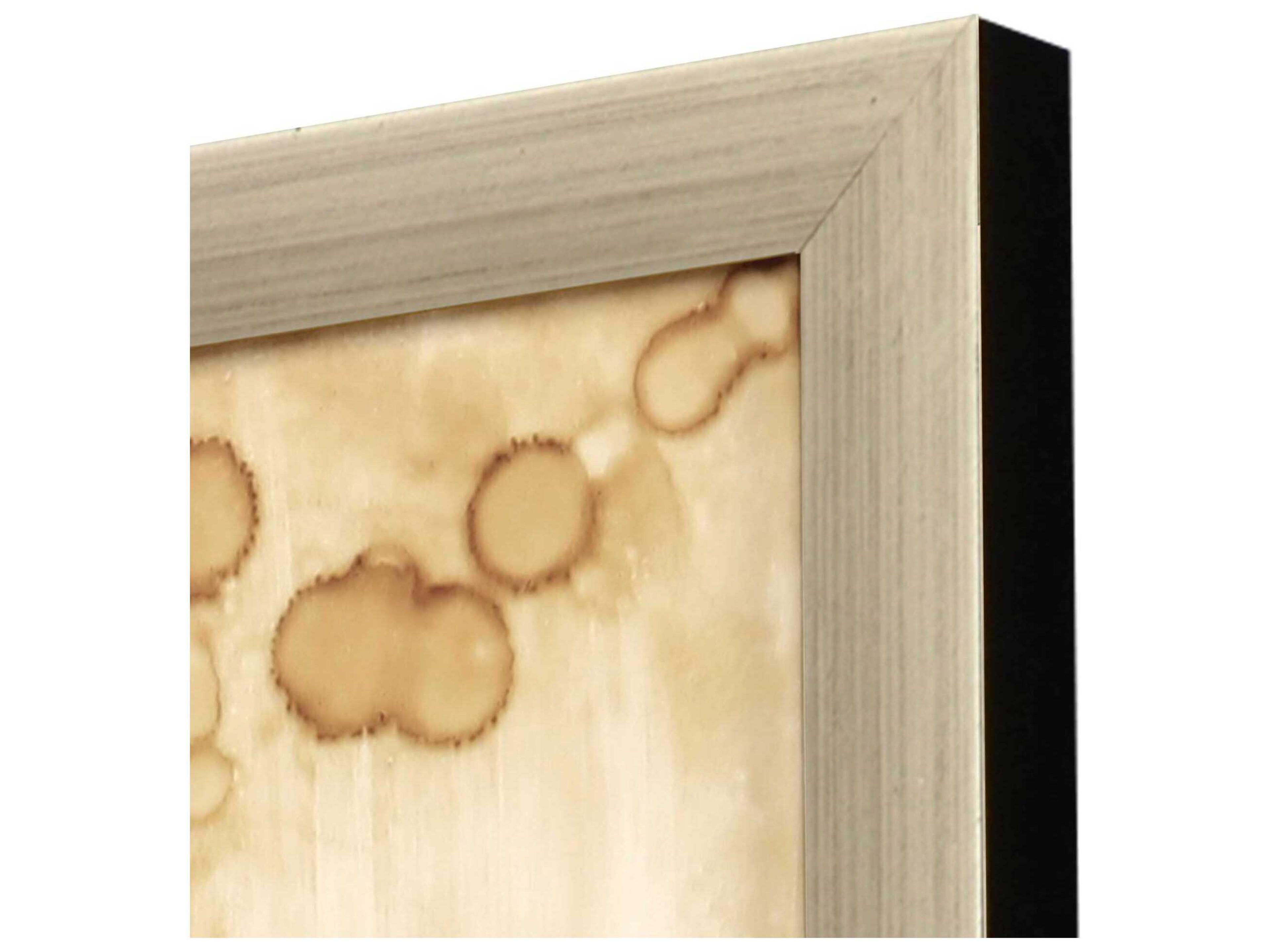 Paragon Florals Botanical Odyssey-I Wall Art