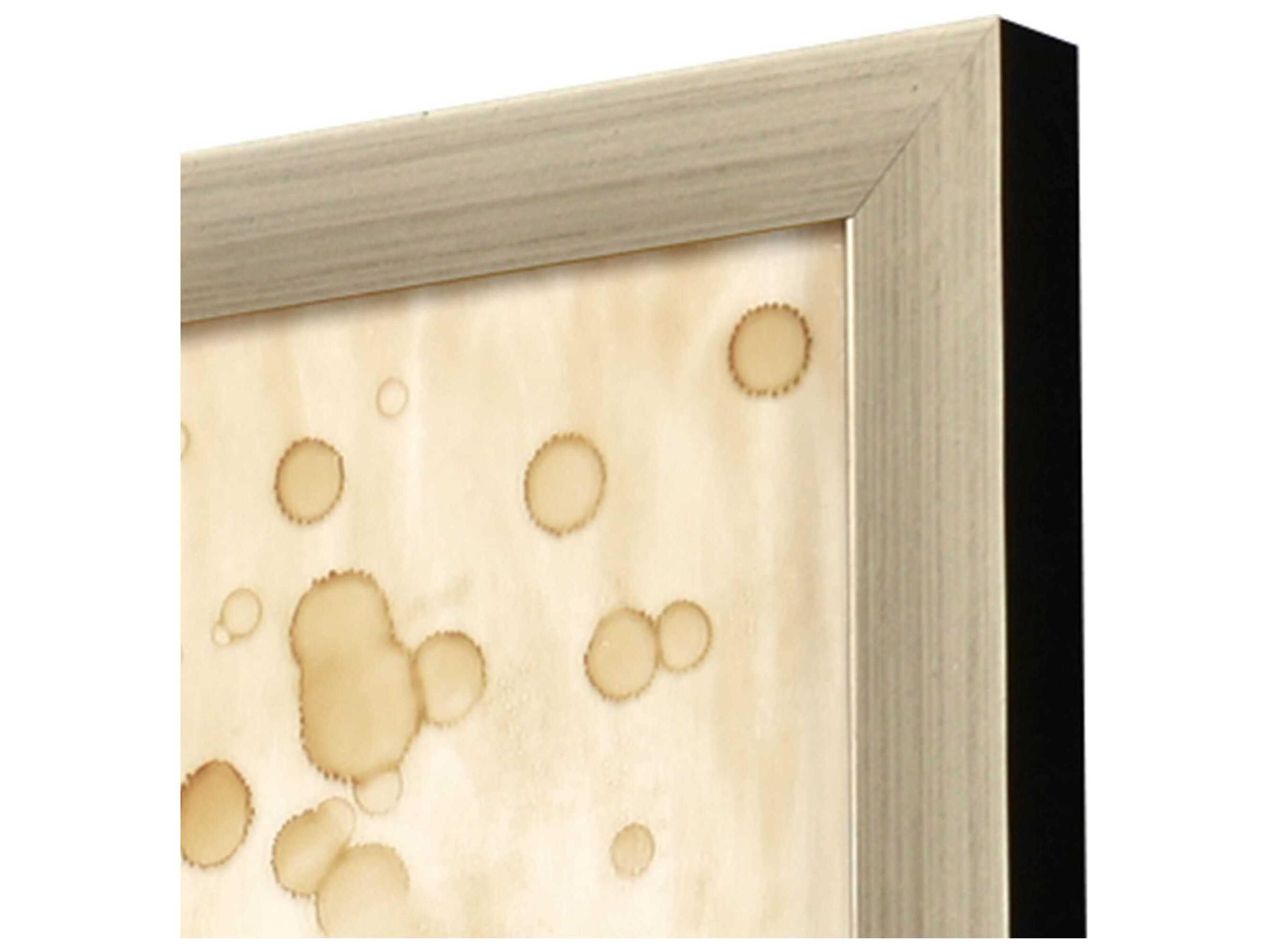 Paragon Florals Botanical Odyssey-II Wall Art