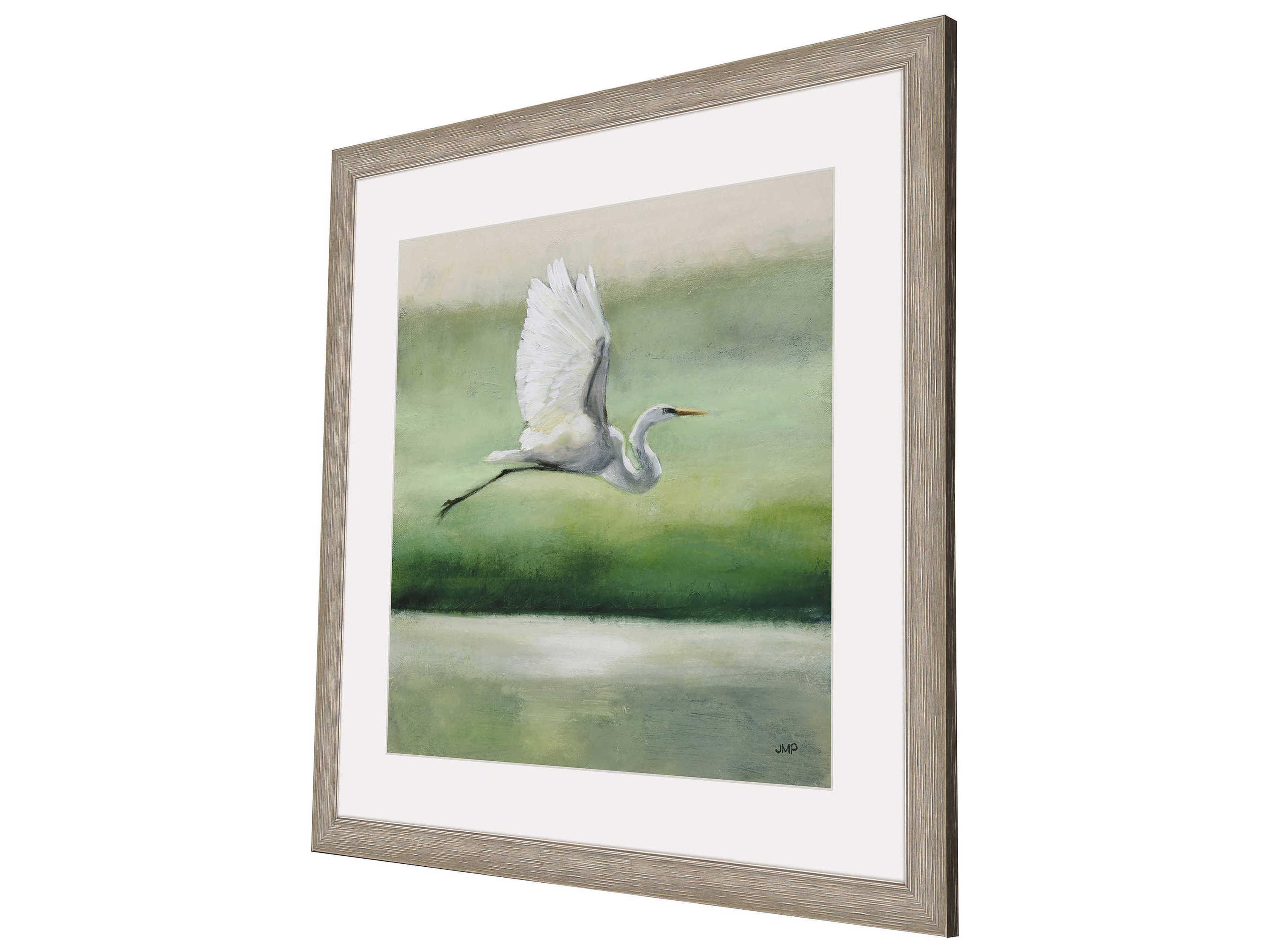 Paragon Flight Framed Art