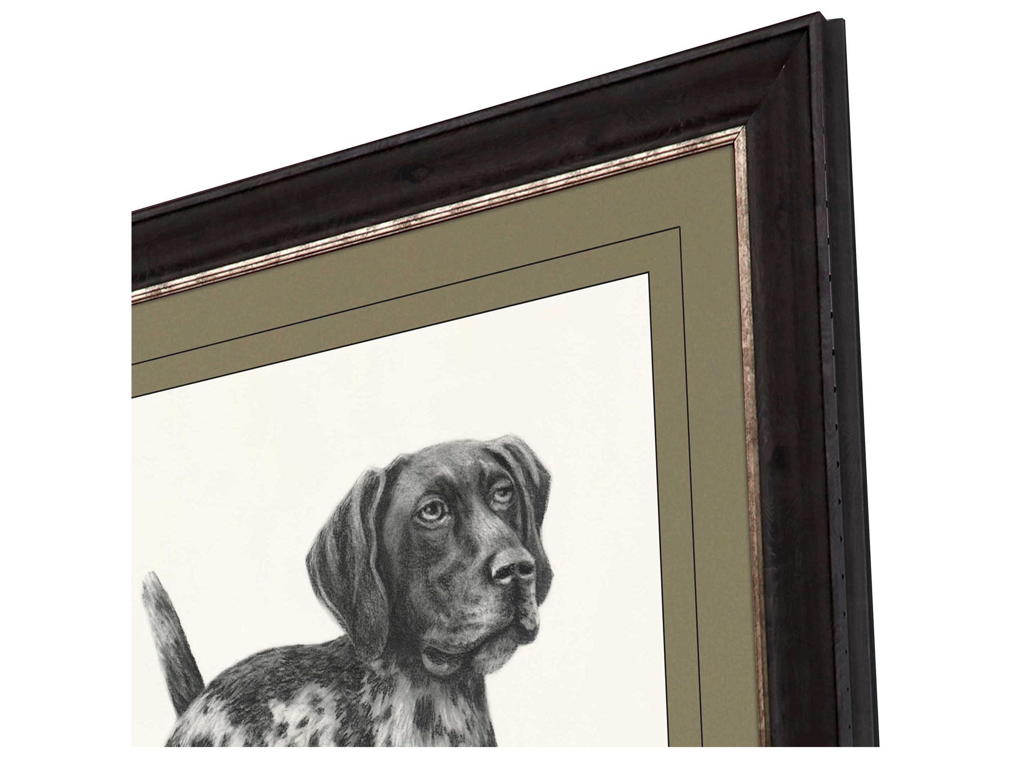 Paragon Animals Green Canine Gaze Wall Art