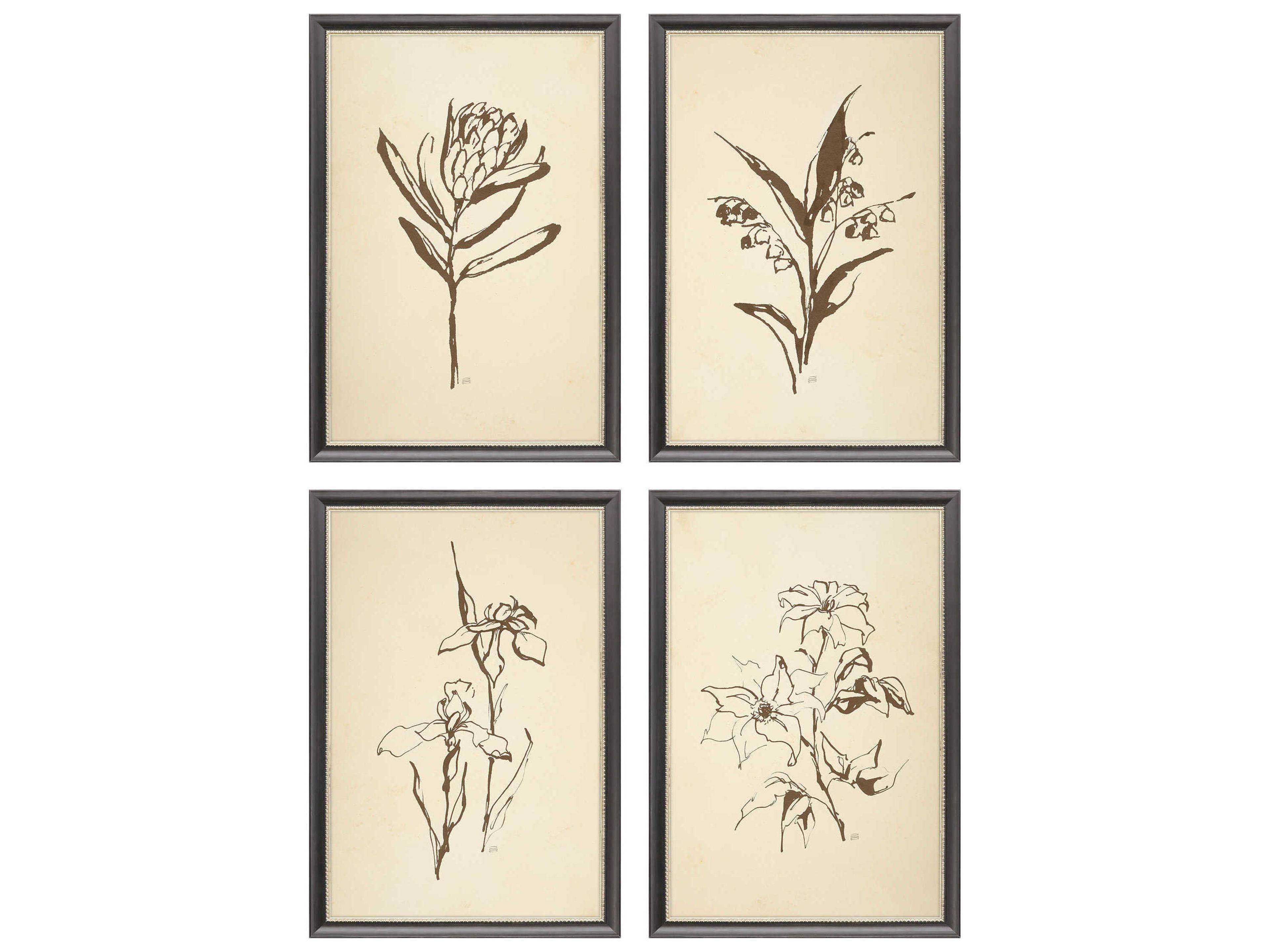 Paragon Florals Vintage Line Wall Art Set of 4