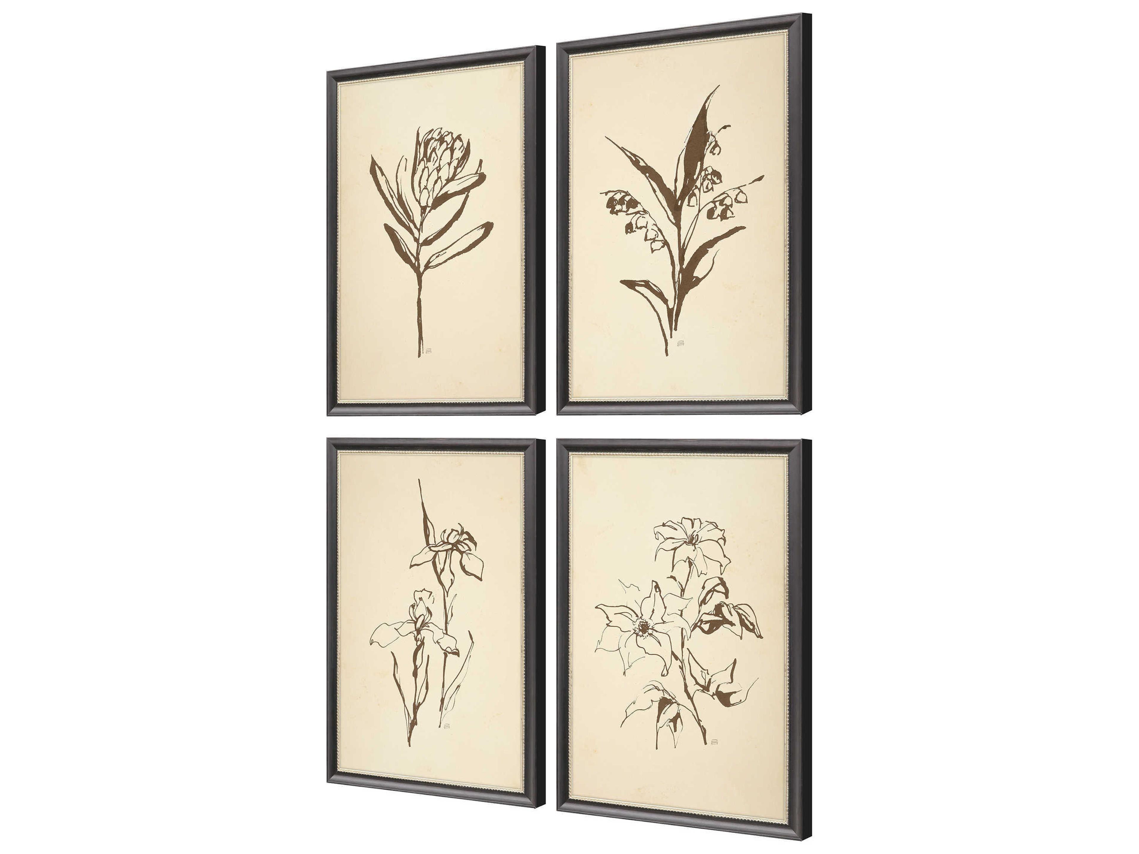 Paragon Florals Vintage Line Wall Art Set of 4