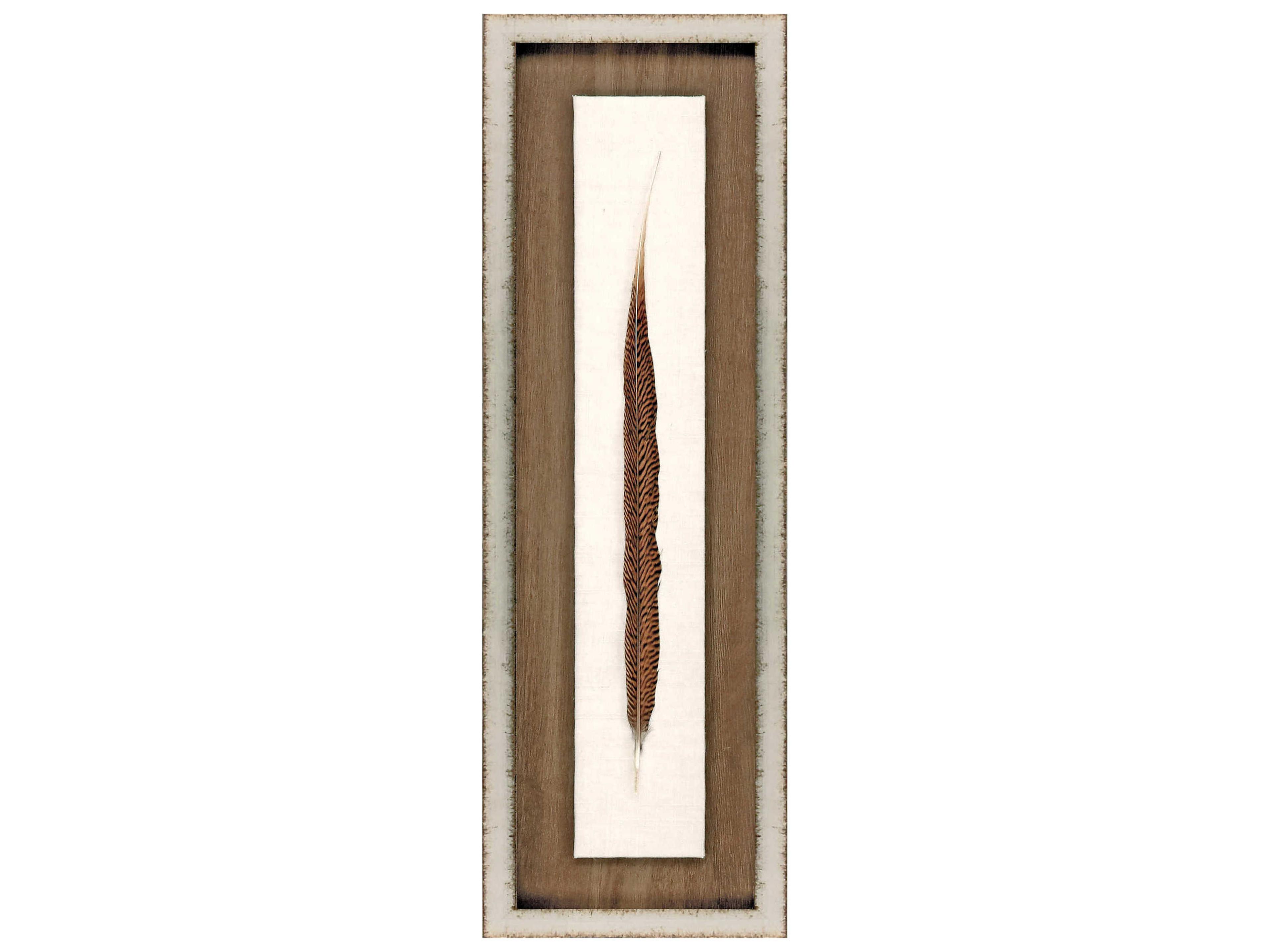Pheasant Feather Shadow Box