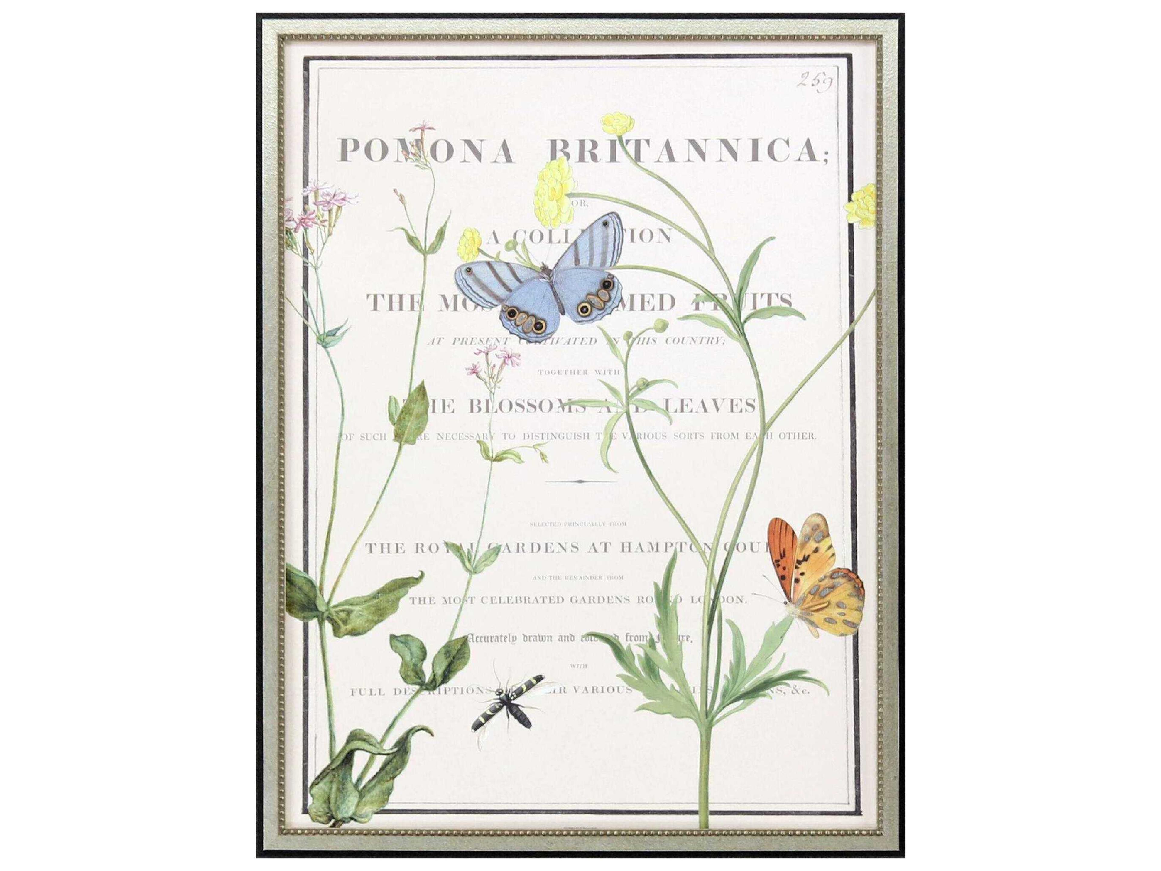 Paragon Florals Ephemeral Bloom Wall Art