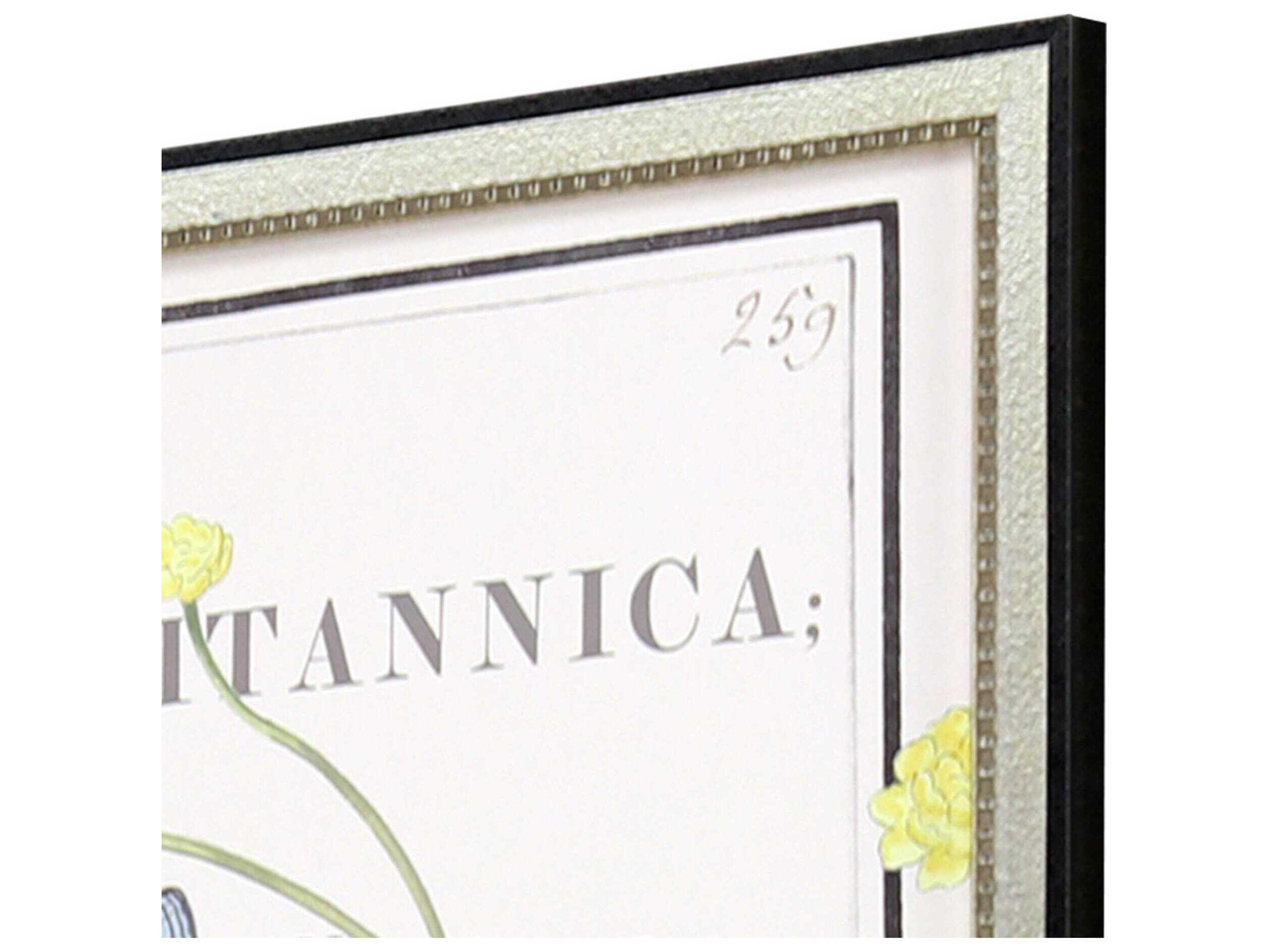 Paragon Florals Ephemeral Bloom Wall Art