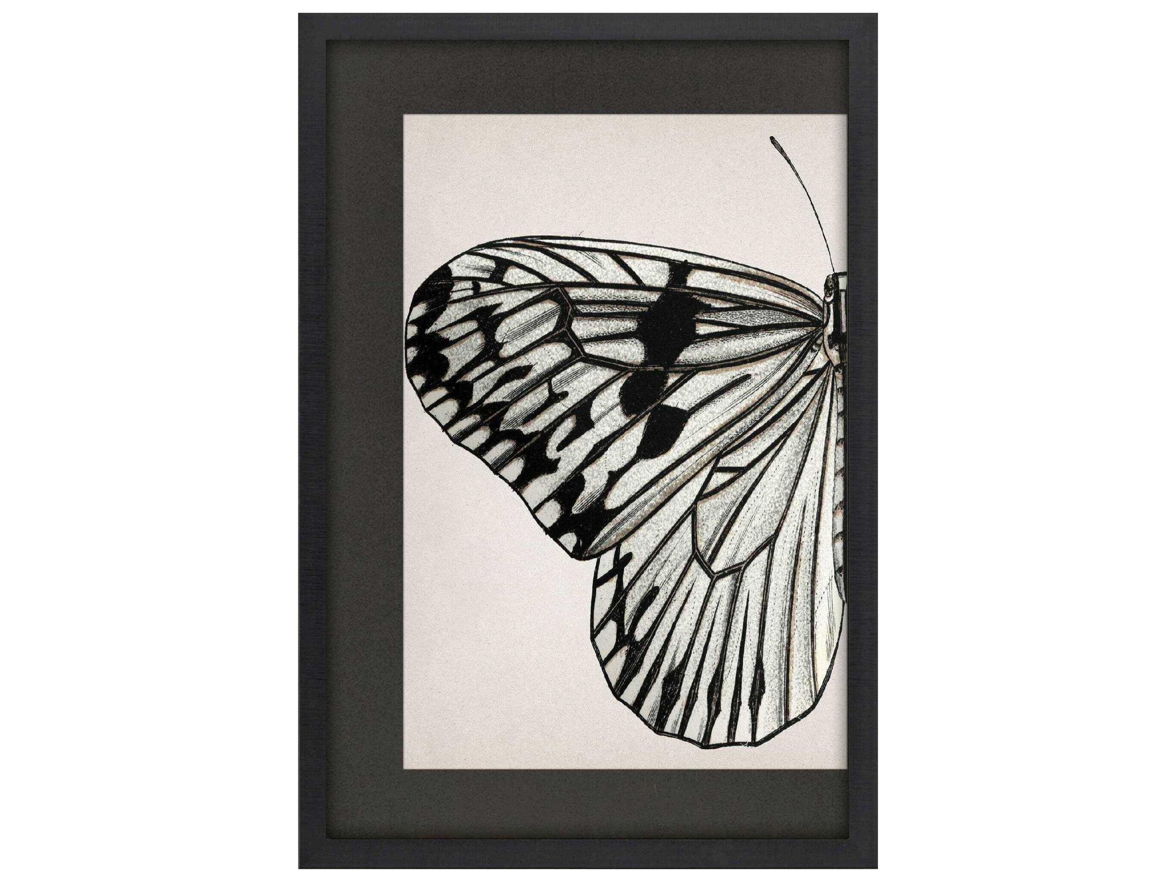 Paragon Animals Grand Butterfly-I Wall Art