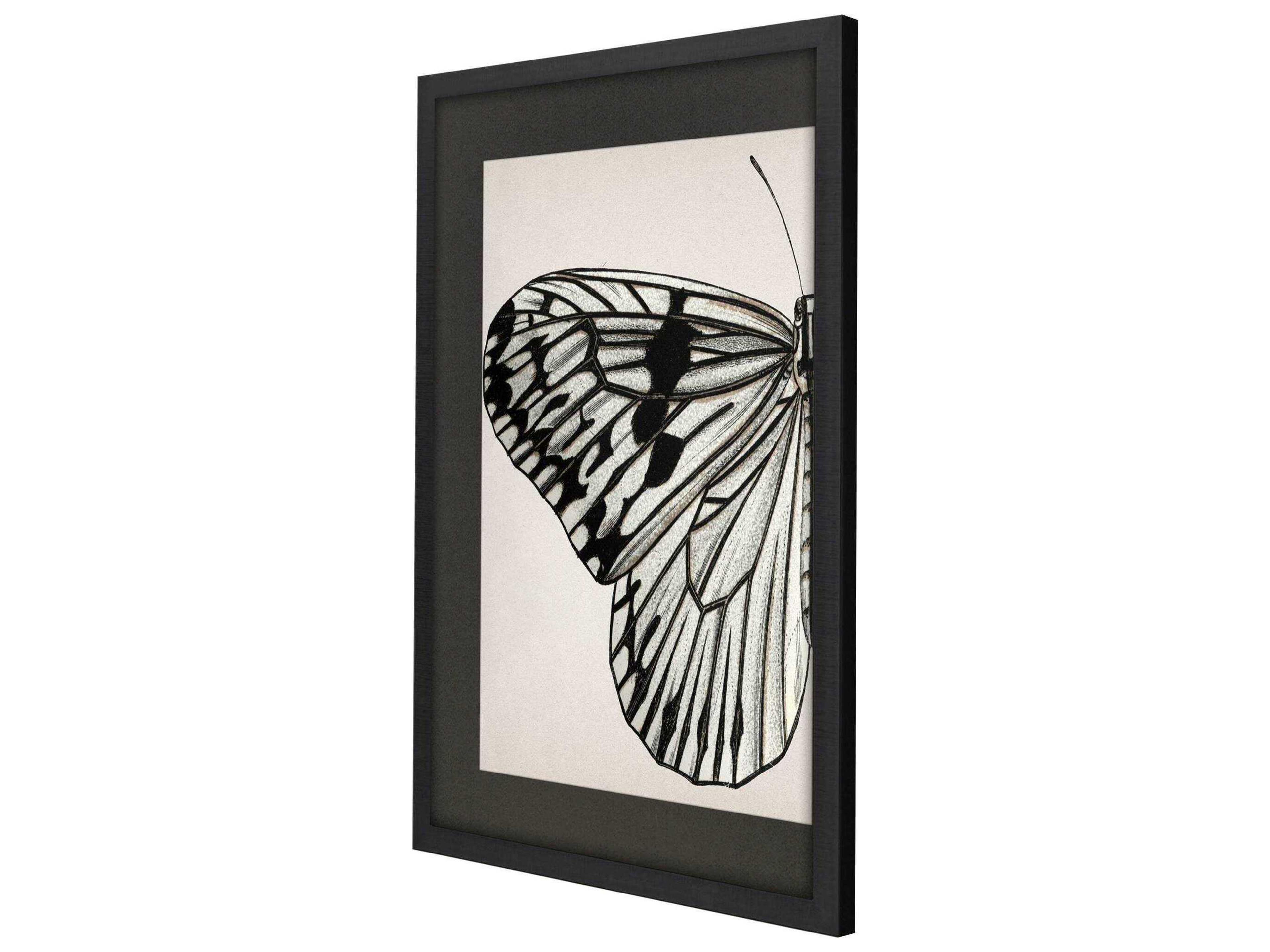 Paragon Animals Grand Butterfly-I Wall Art