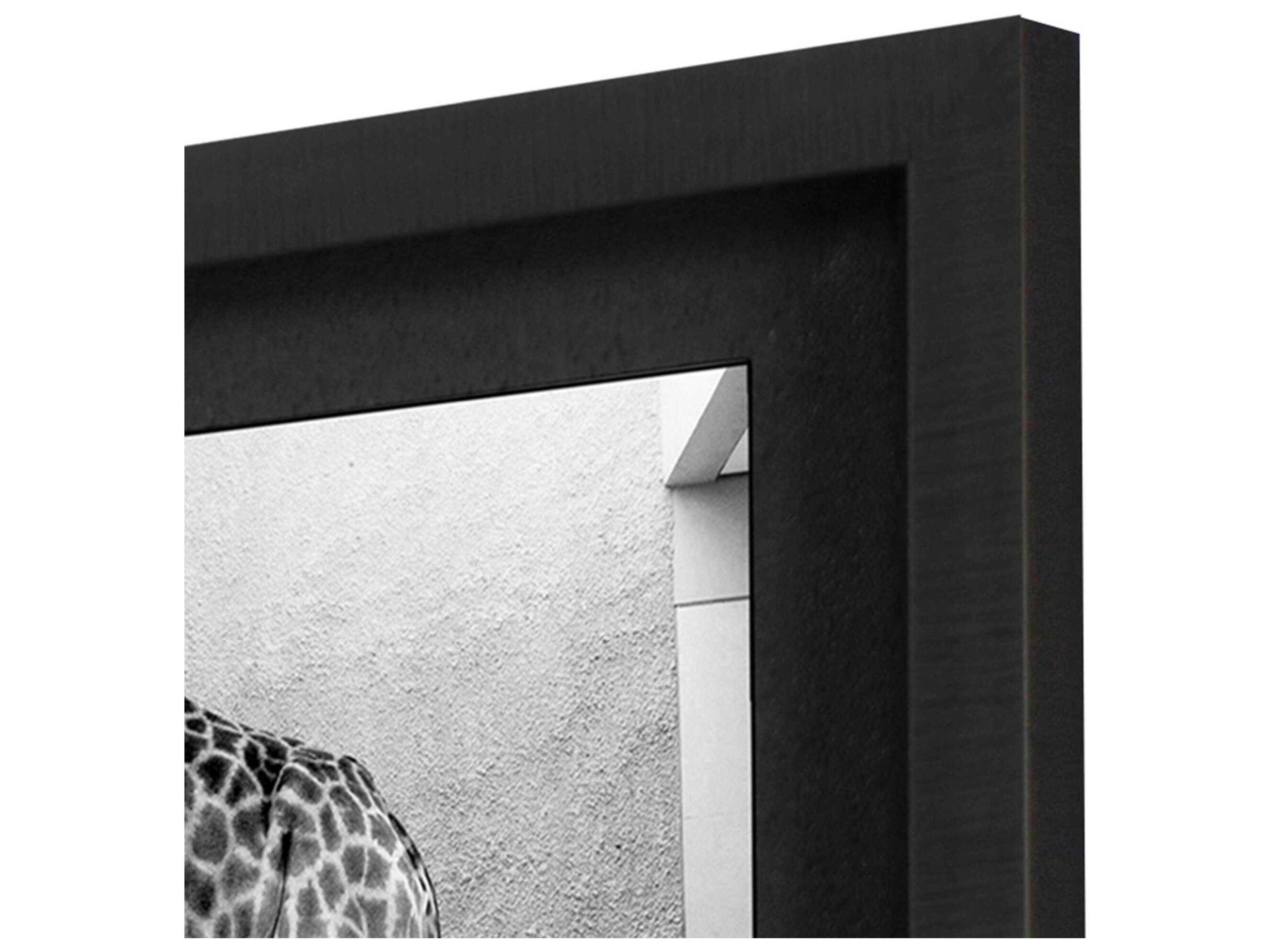 Paragon Animals Safari Bath-I Wall Art Set of 2