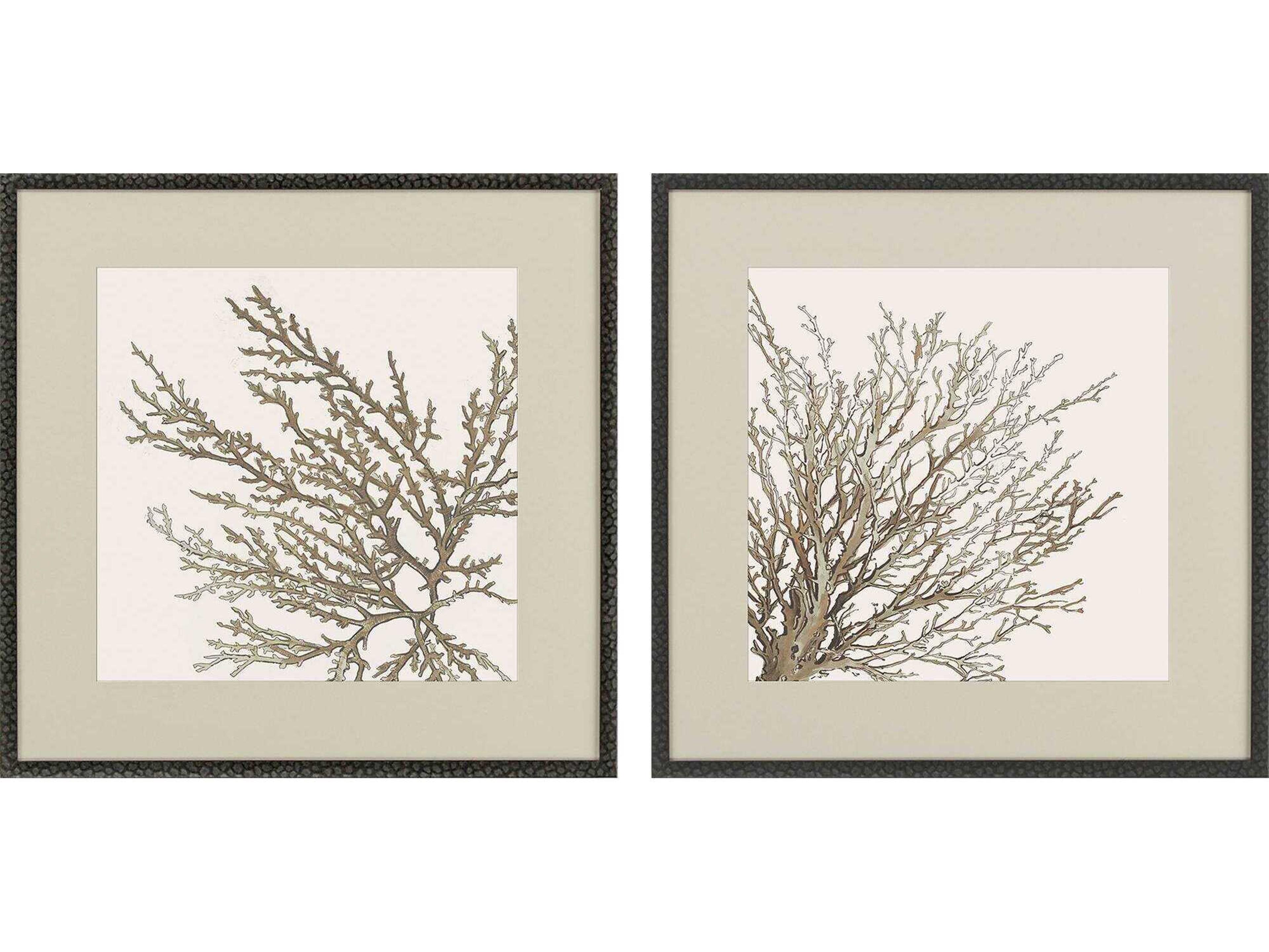 Naturals Taupe Coral Wall Art Set of 2