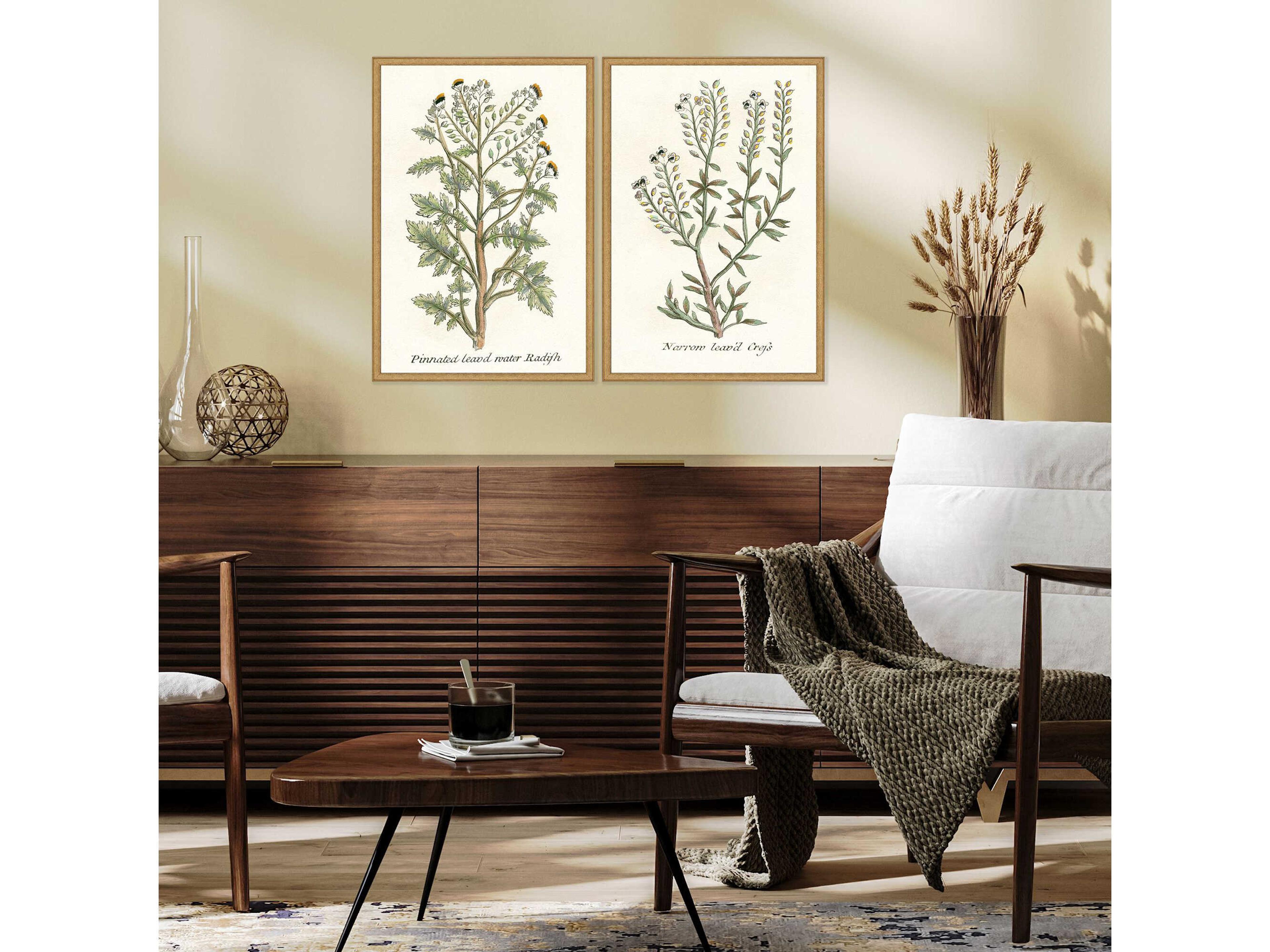 Paragon Florals Botanical Plants-II Wall Art Set of 2