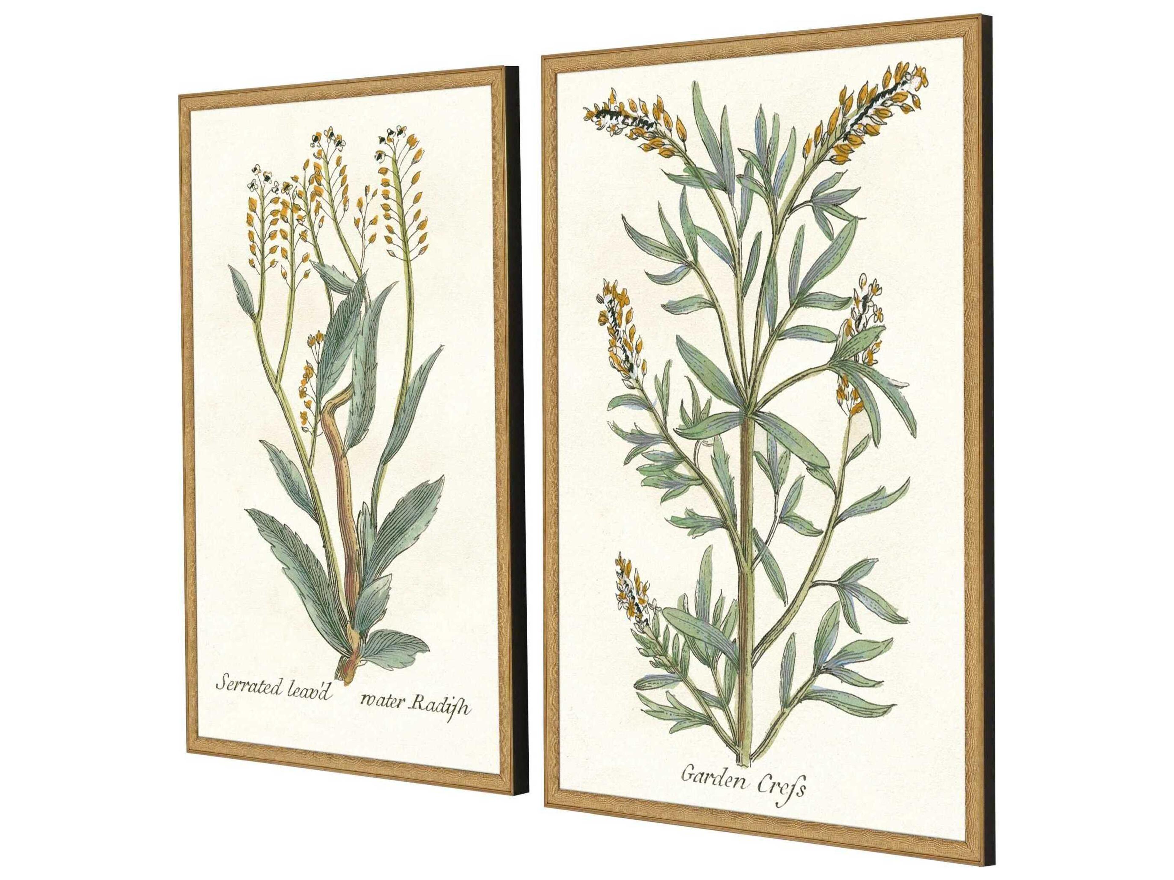 Paragon Florals Botanical Plants-III Wall Art Set of 2