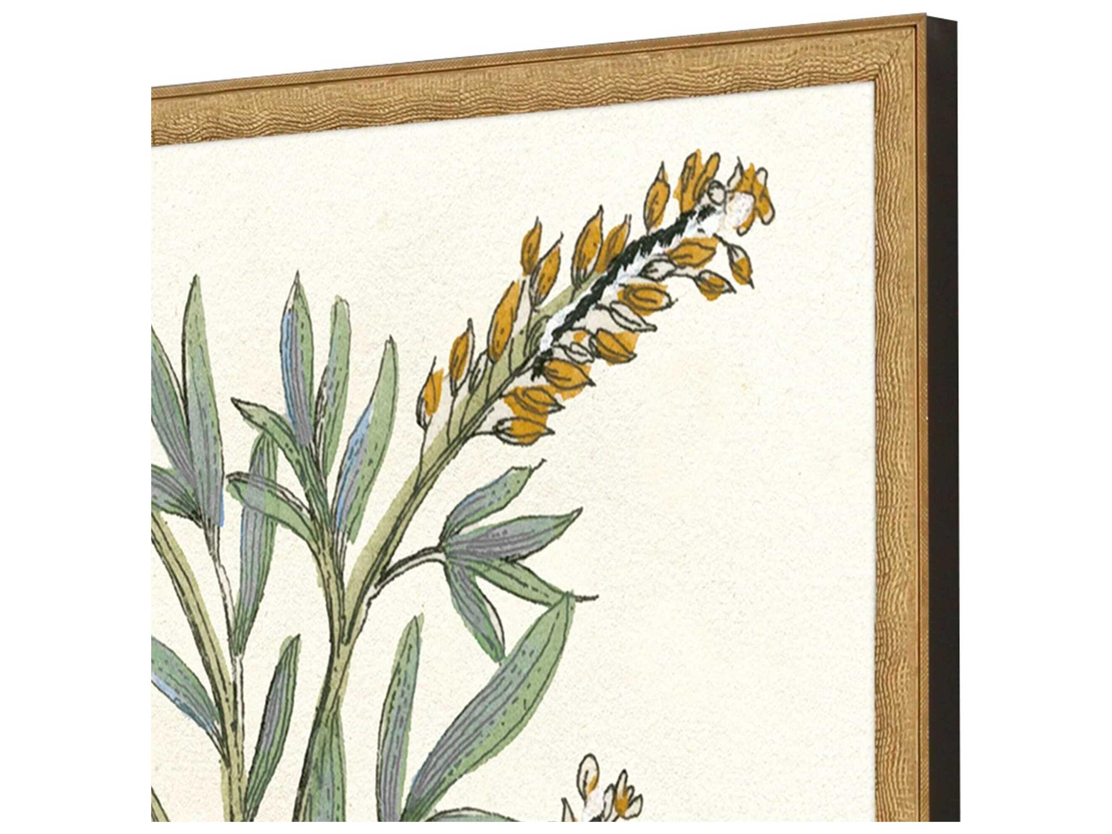 Paragon Florals Botanical Plants-III Wall Art Set of 2