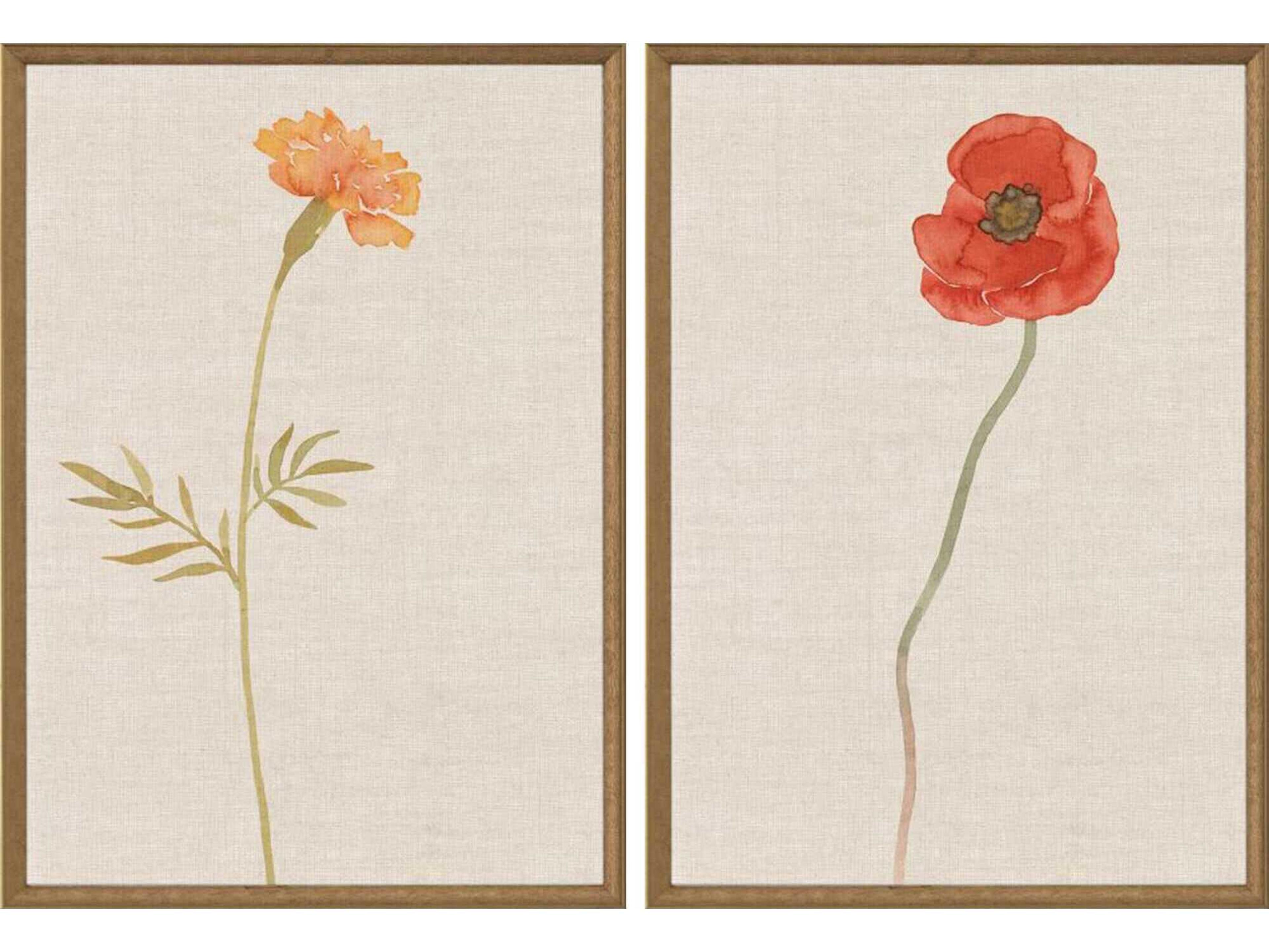 Paragon Florals Wild Flourish-II Wall Art Set of 2