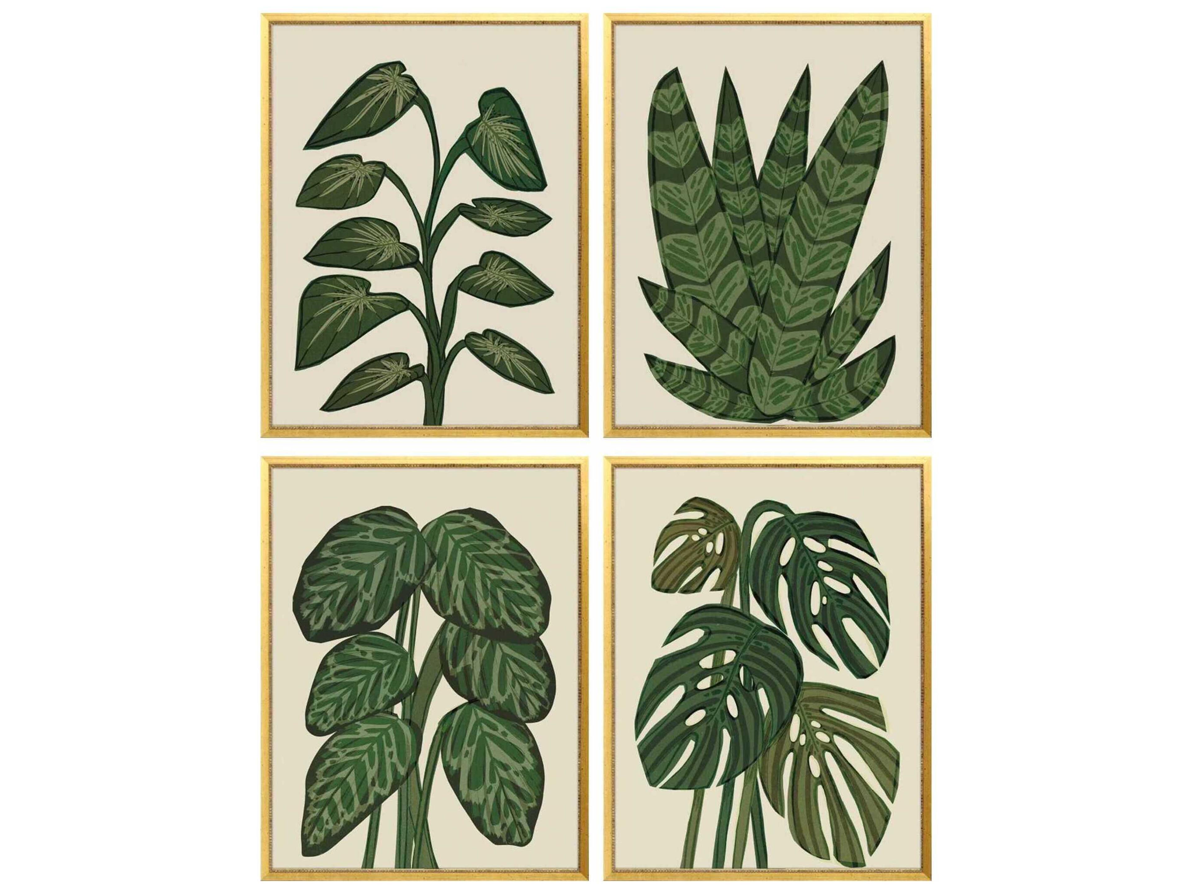Paragon Florals Tropical Abundance Wall Art Set of 4