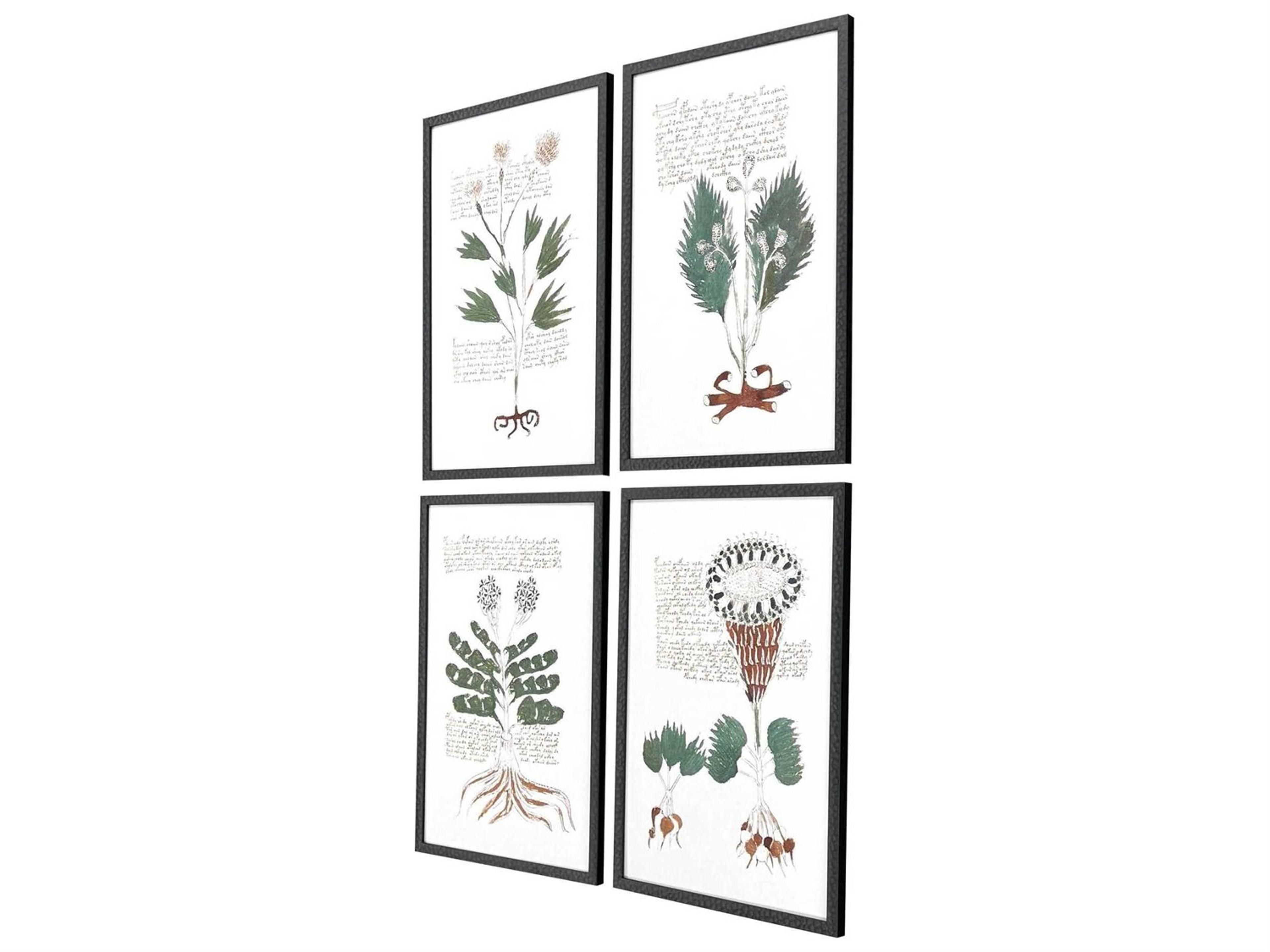 Paragon Florals Magical Botany Wall Art Set of 4