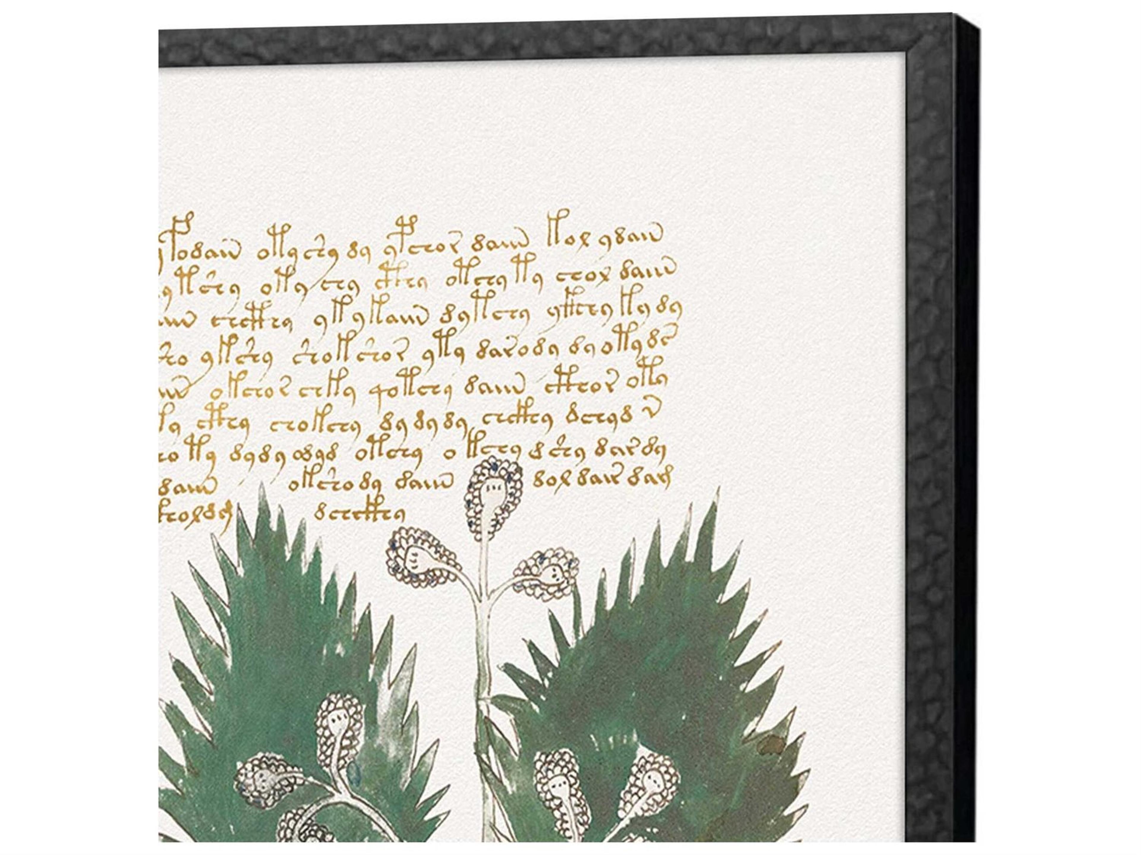 Paragon Florals Magical Botany Wall Art Set of 4