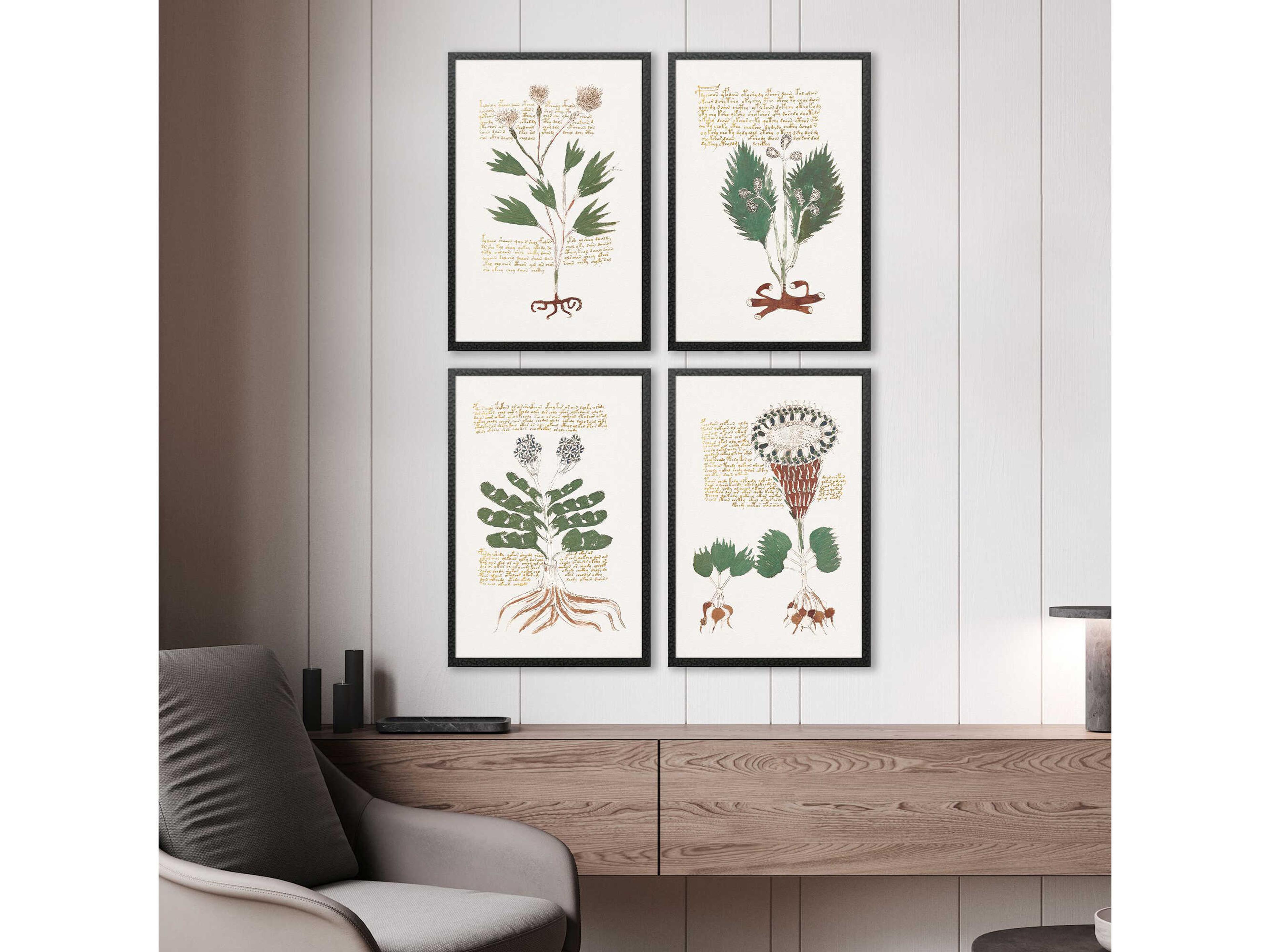 Paragon Florals Magical Botany Wall Art Set of 4