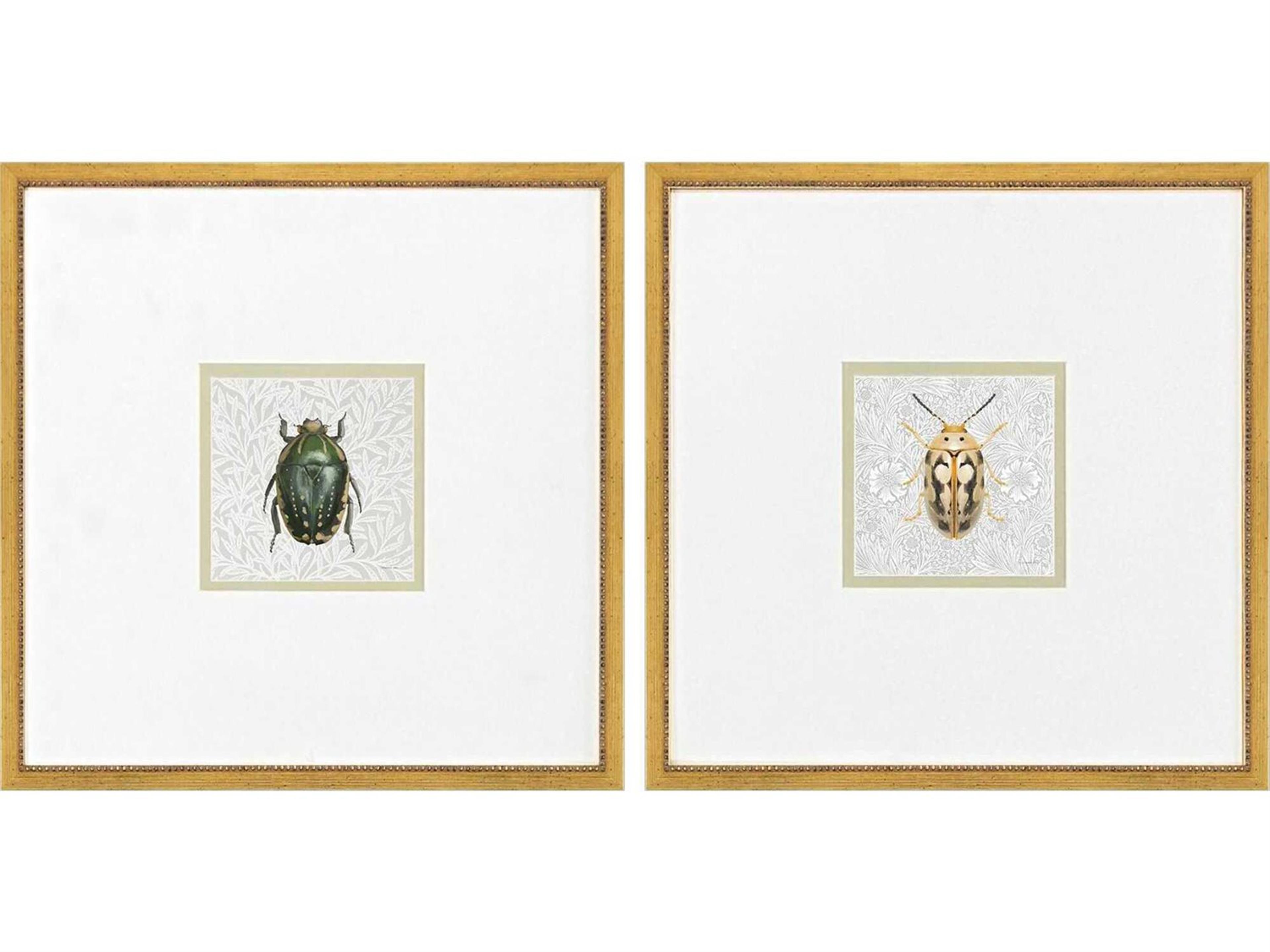 Animals Beetles Wall Art Set of 2