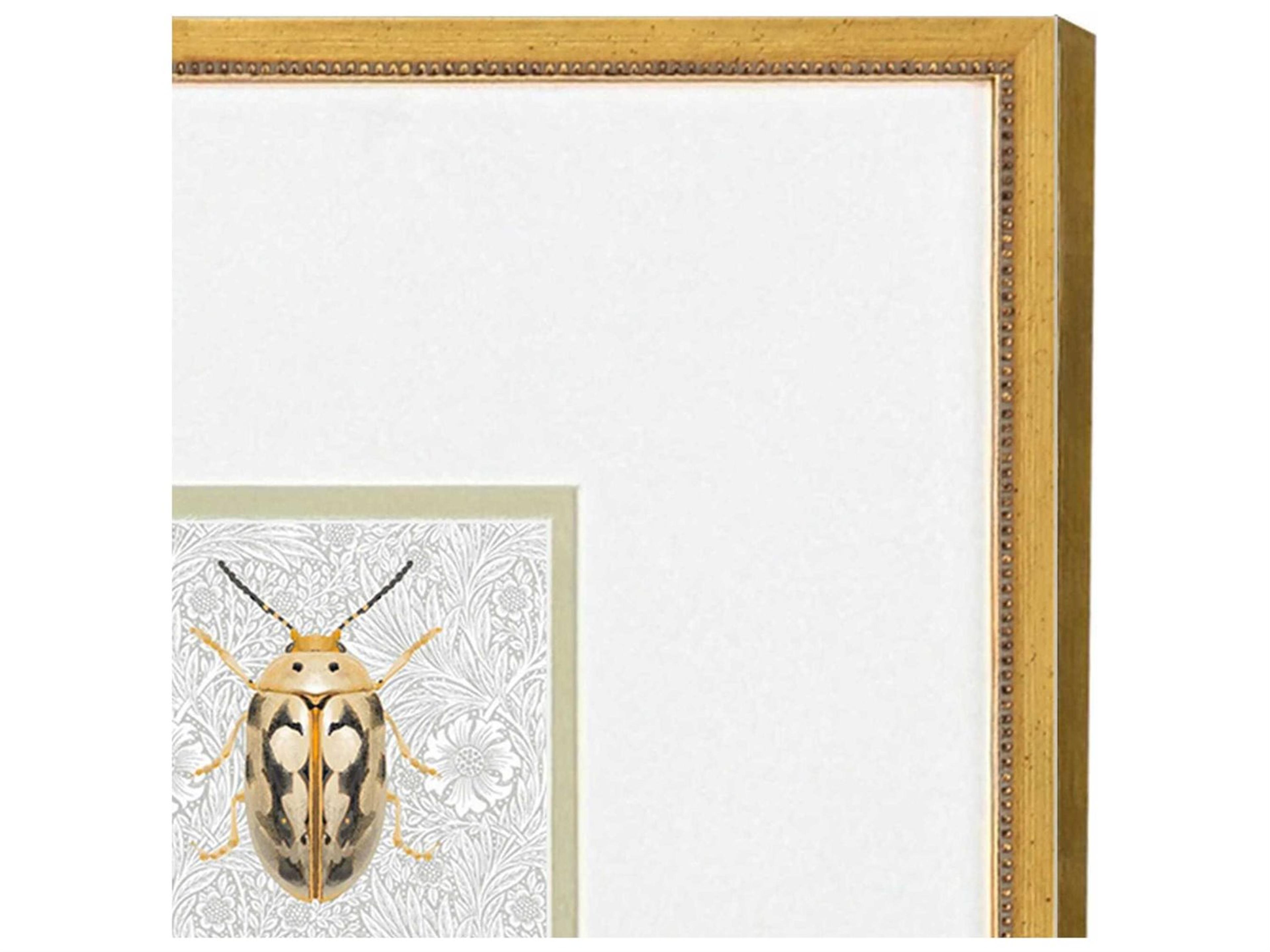 Paragon Animals Beetles Wall Art Set of 2