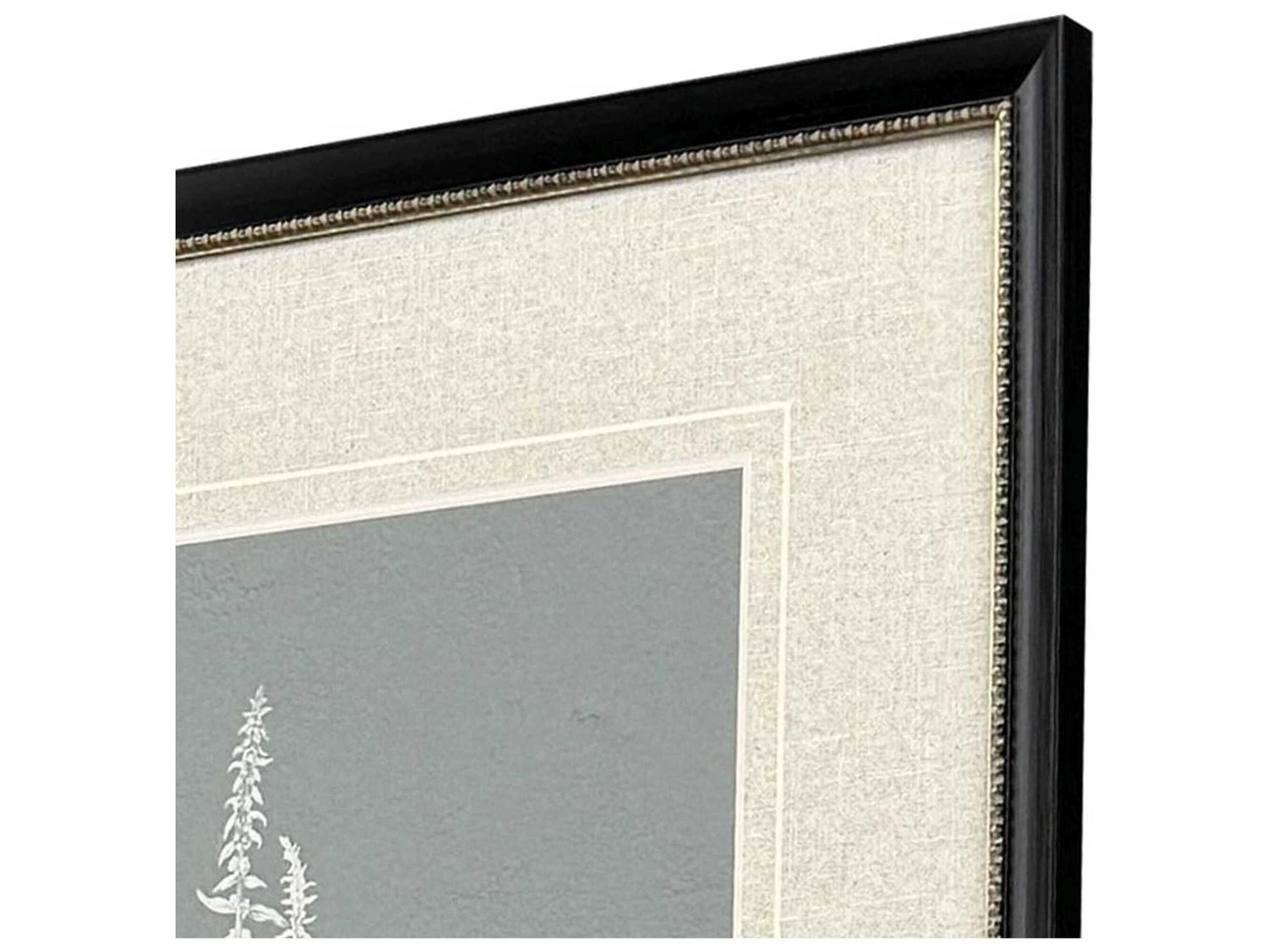 Paragon Florals Nature's Gift-II Wall Art Set of 2