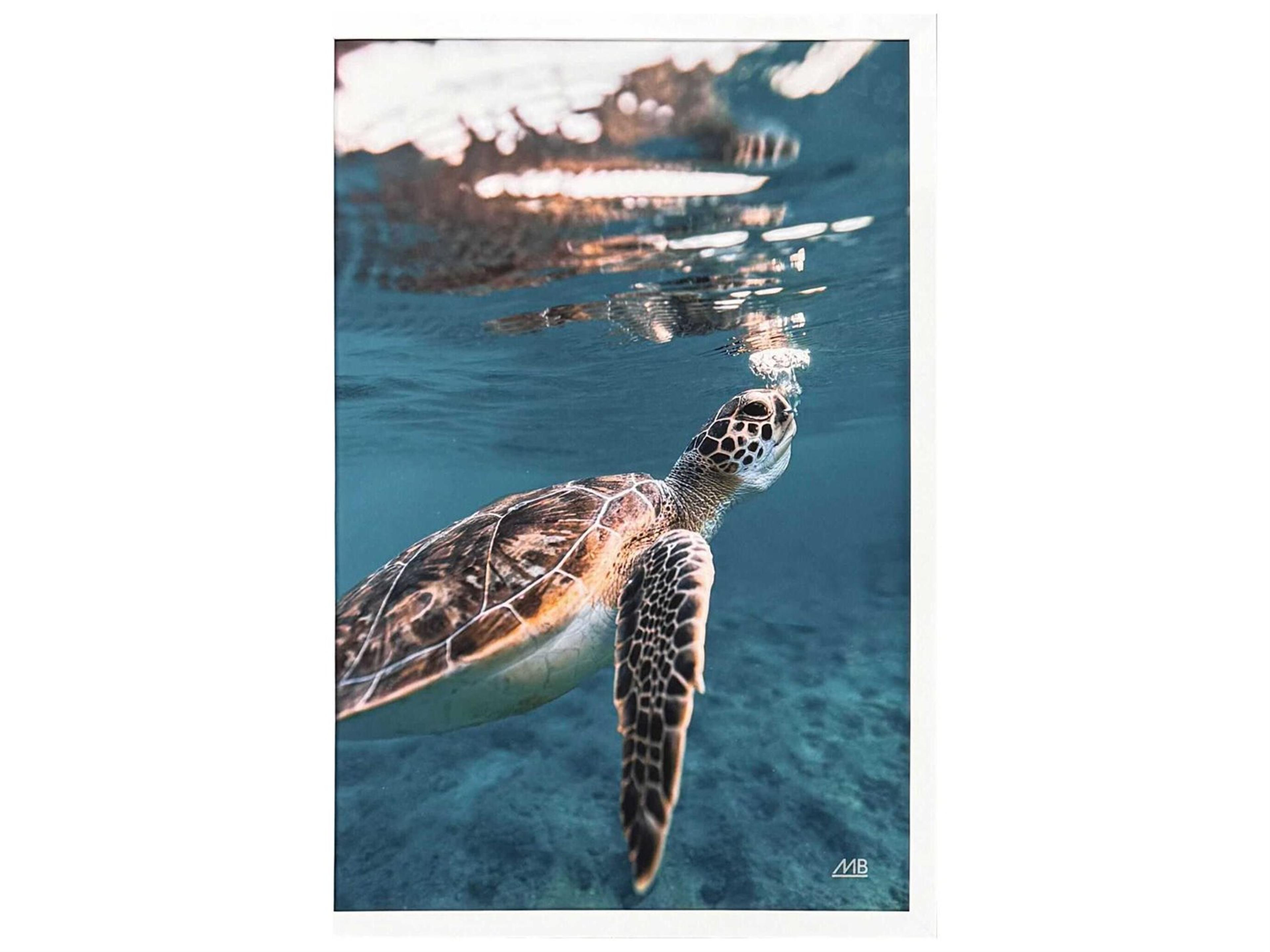 Paragon Animals Blowing Bubbles Wall Art