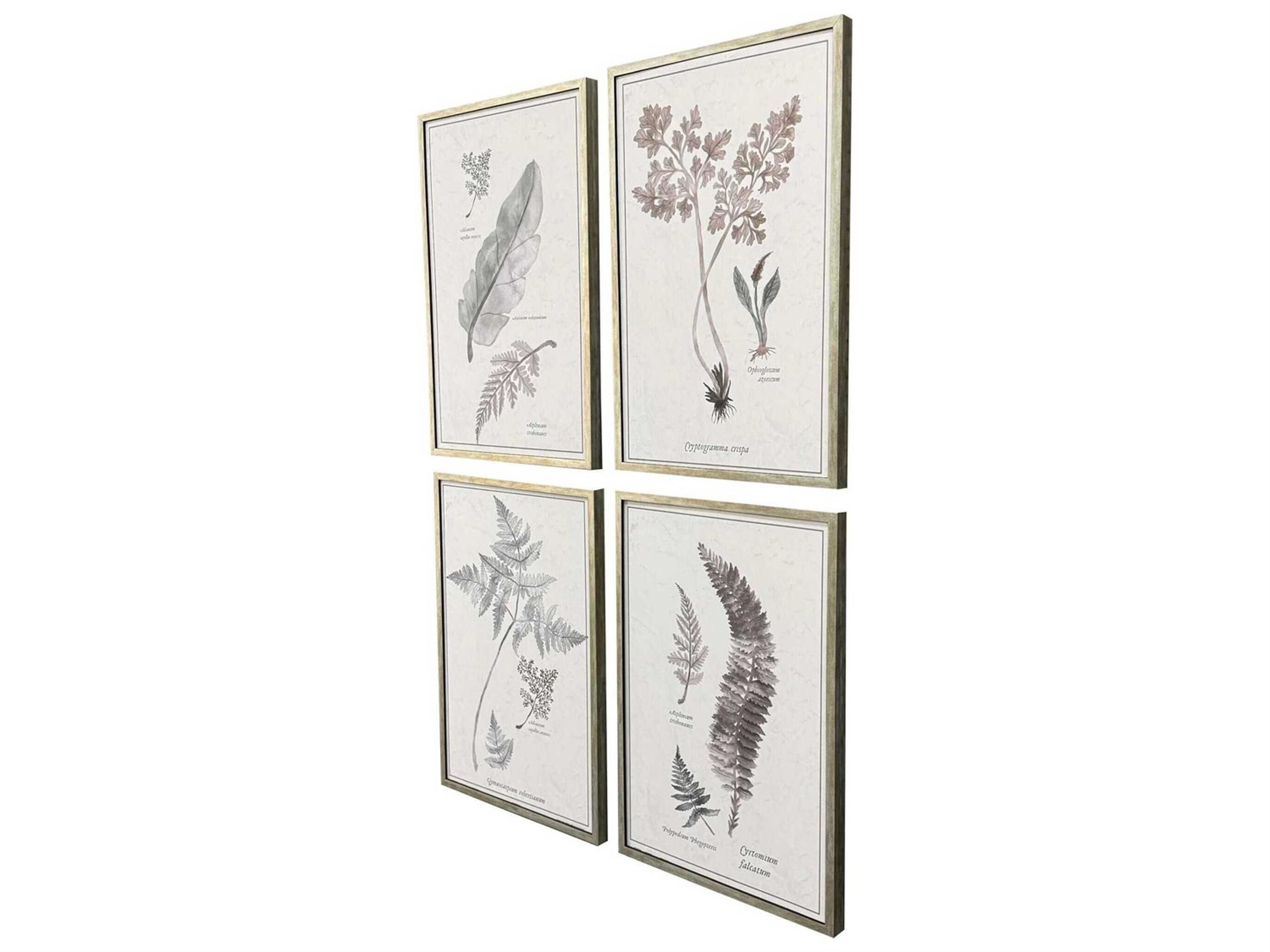 Paragon Florals Fern Study Wall Art Set of 4