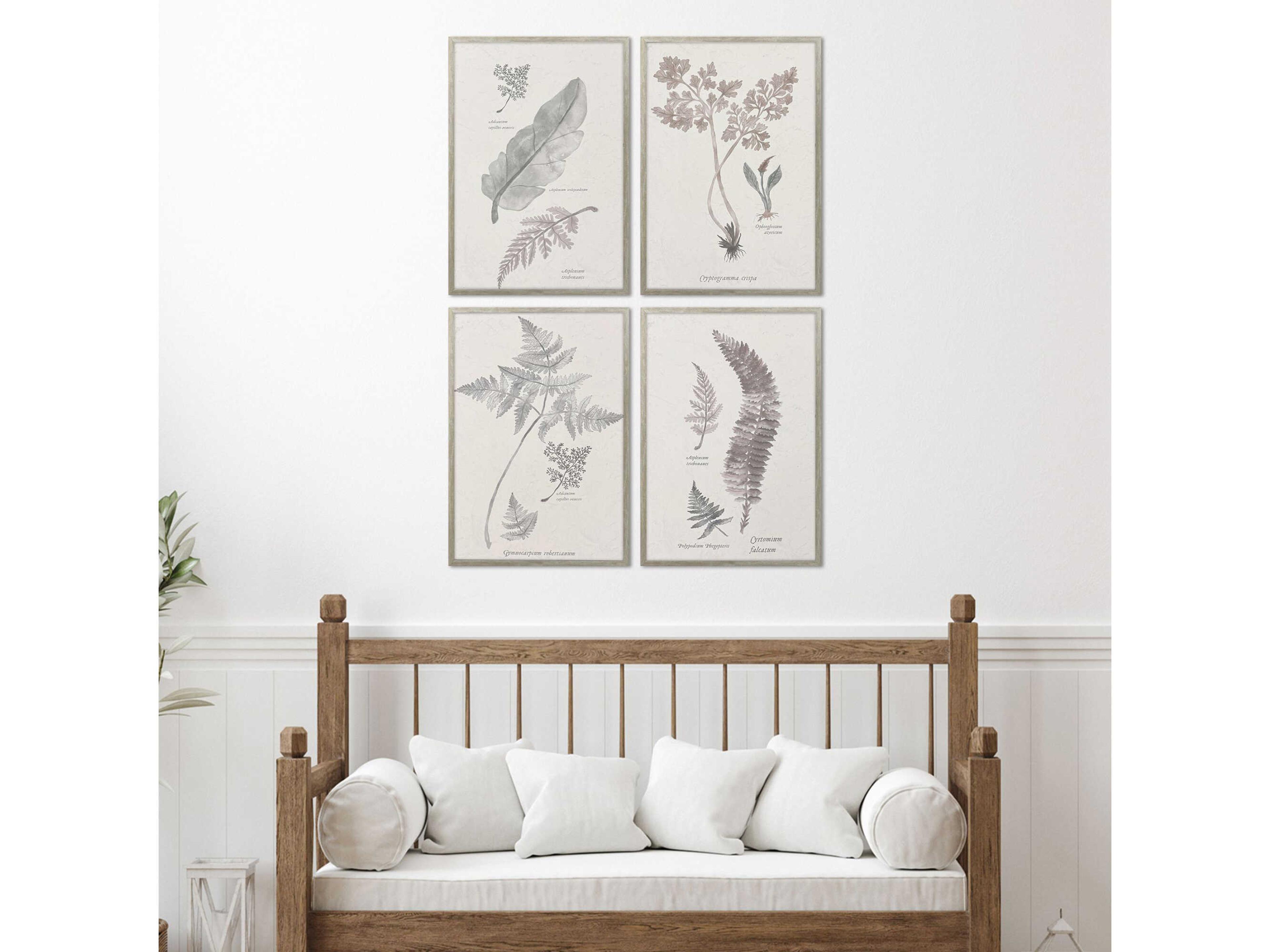 Paragon Florals Fern Study Wall Art Set of 4