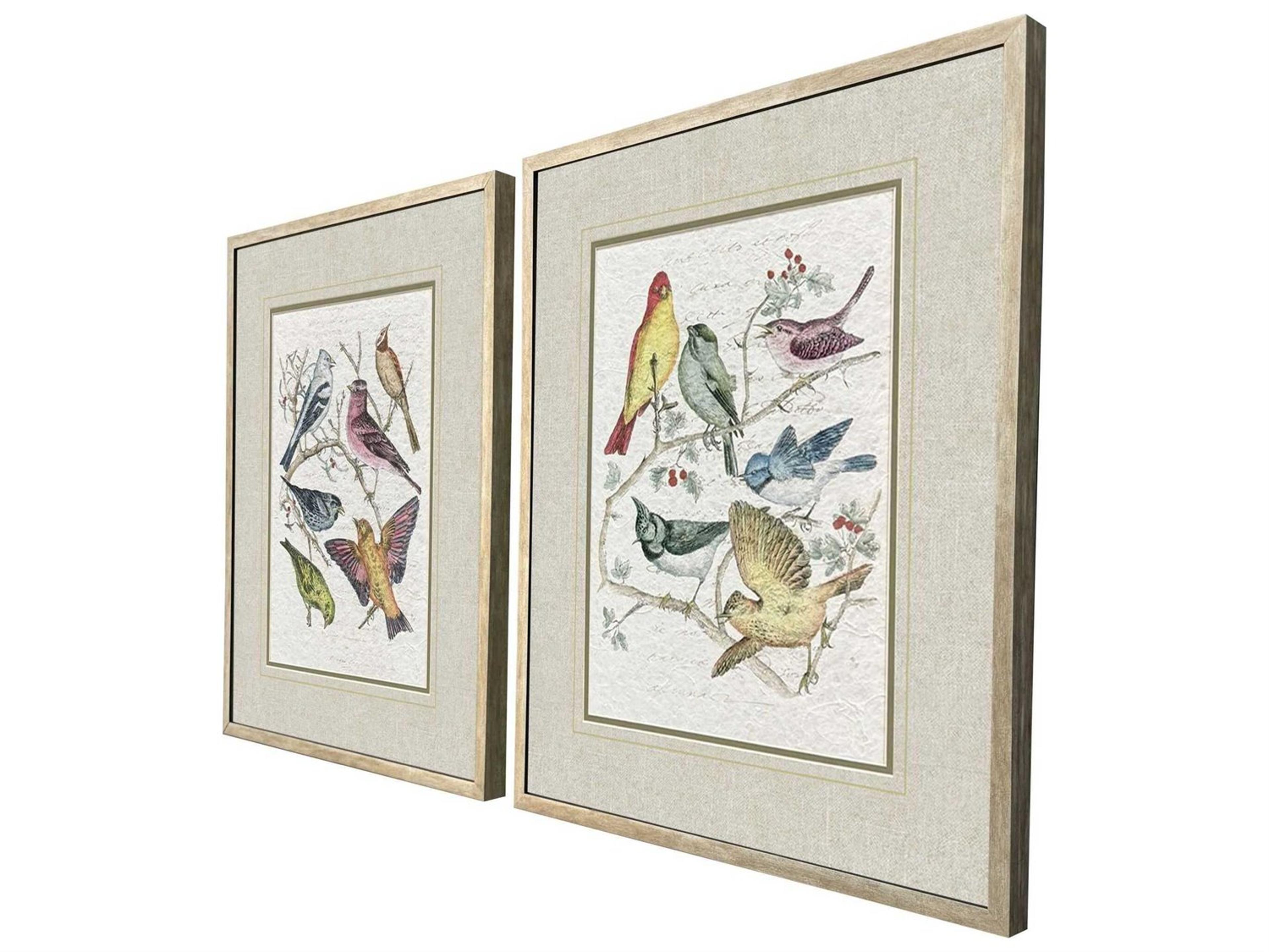 Paragon Animals Bird Variety Wall Art Set of 2