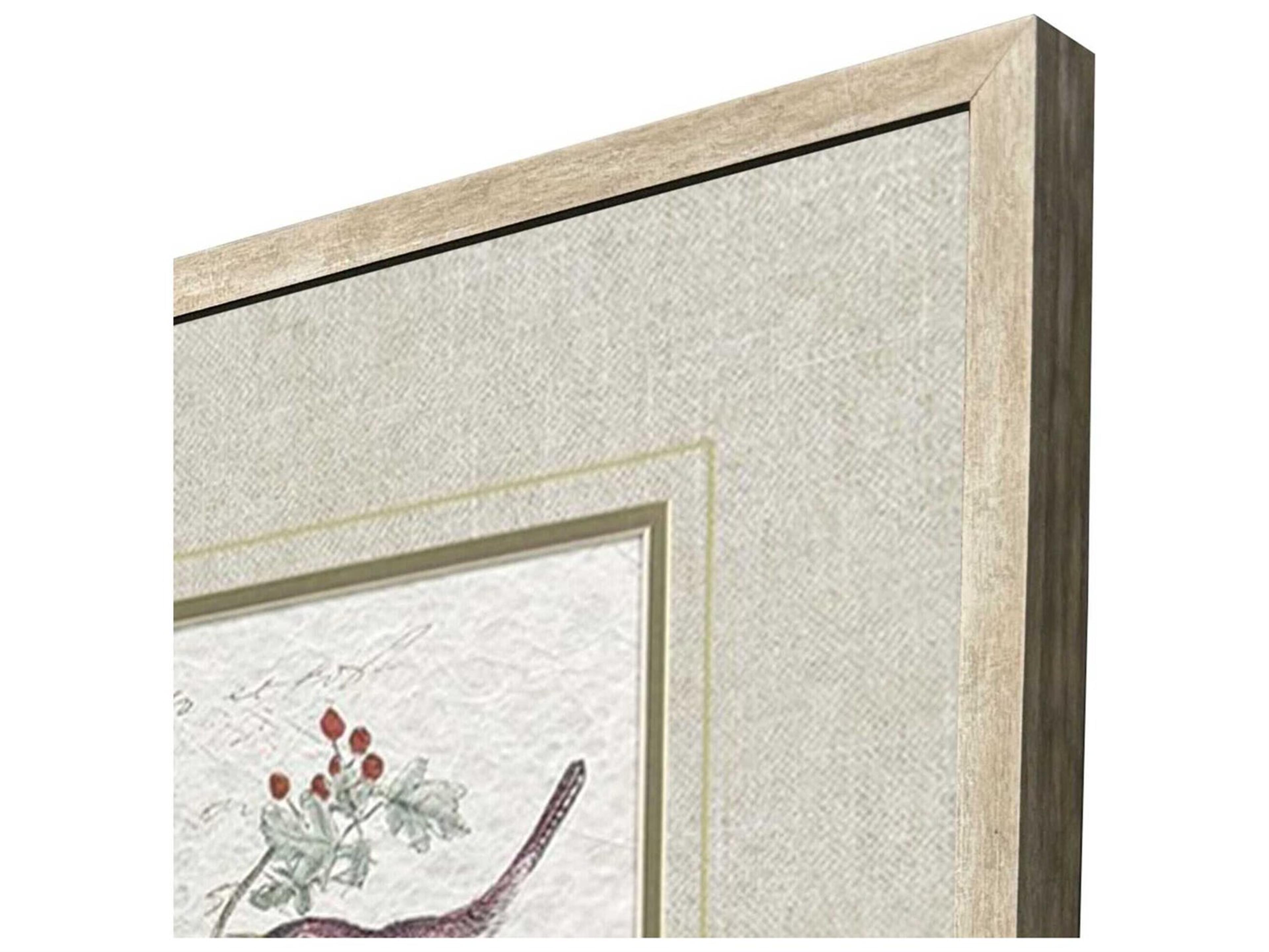 Paragon Animals Bird Variety Wall Art Set of 2