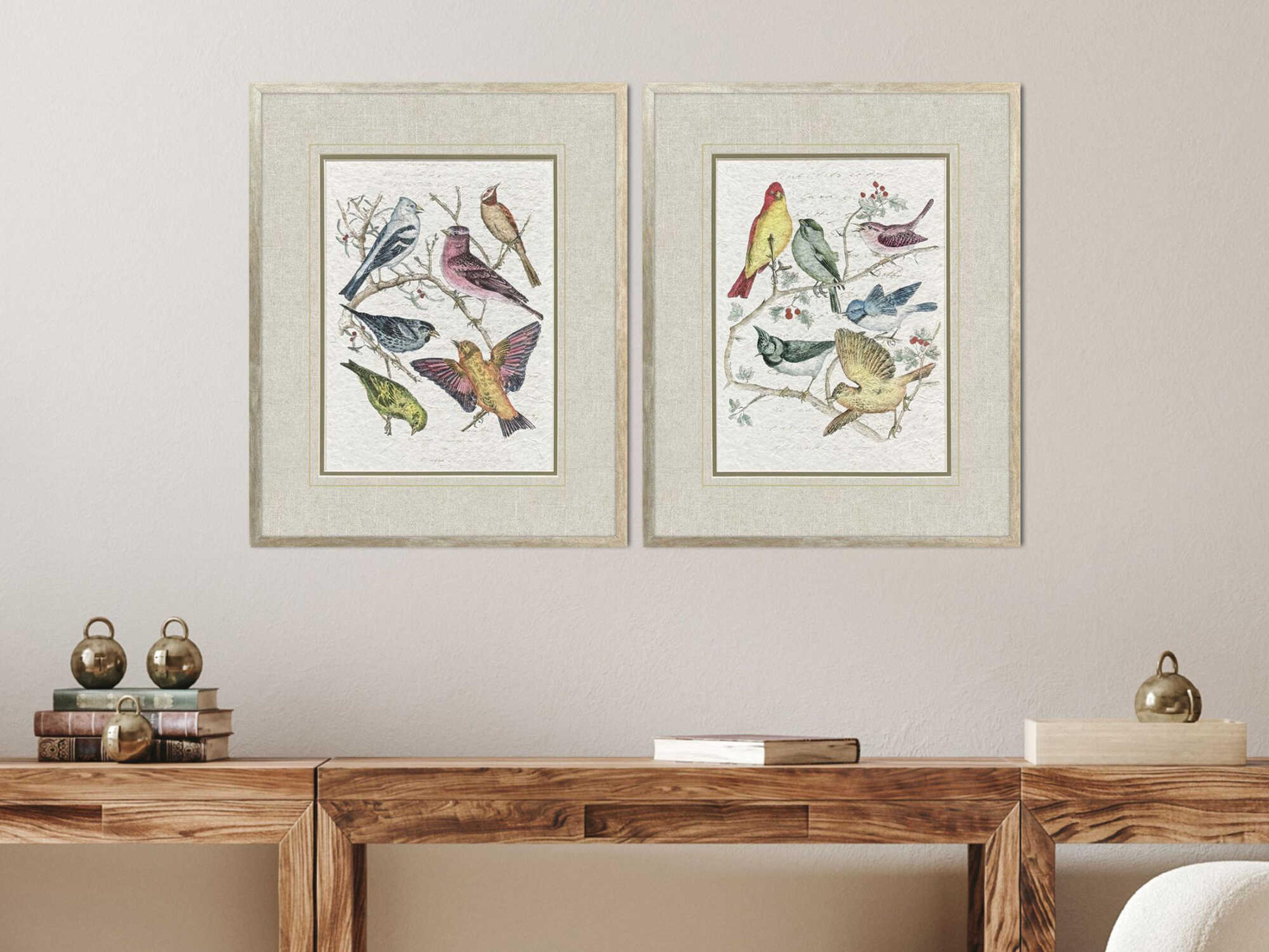 Paragon Animals Bird Variety Wall Art Set of 2