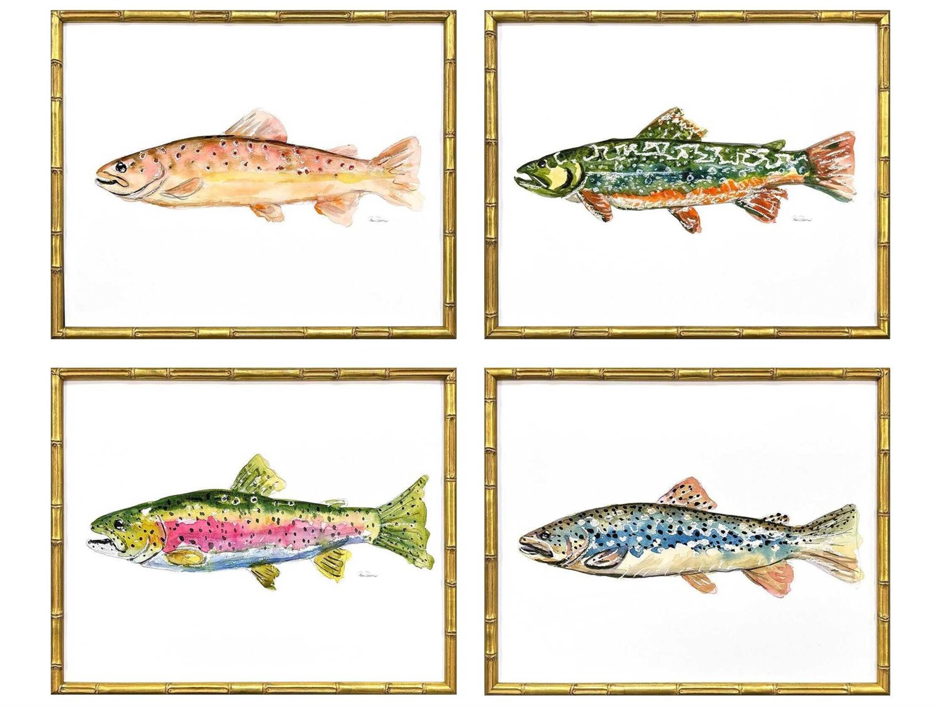 Animals Colorful Trout Wall Art Set of 4