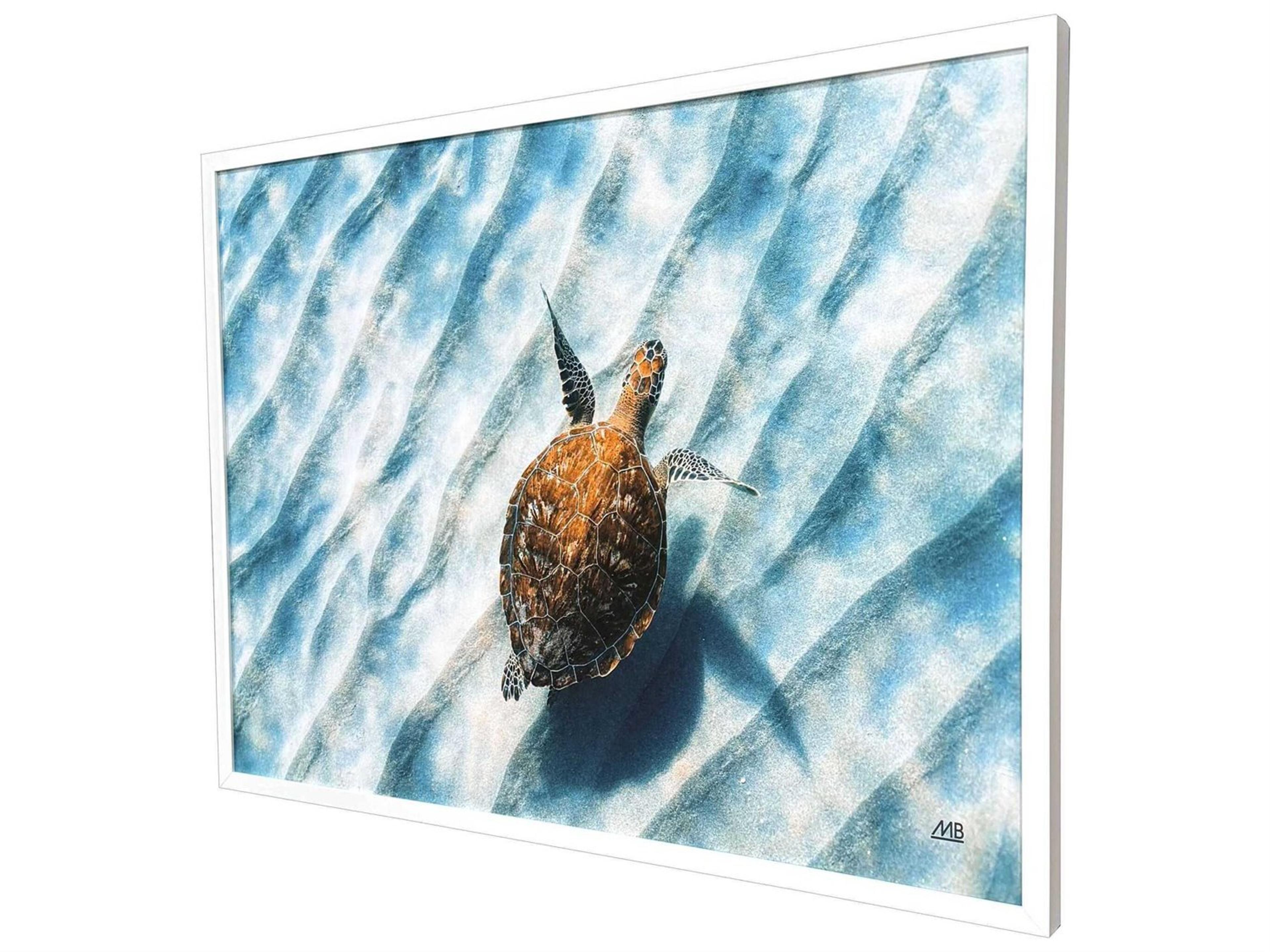 Paragon Animals Sandbar Sea Turtle Wall Art