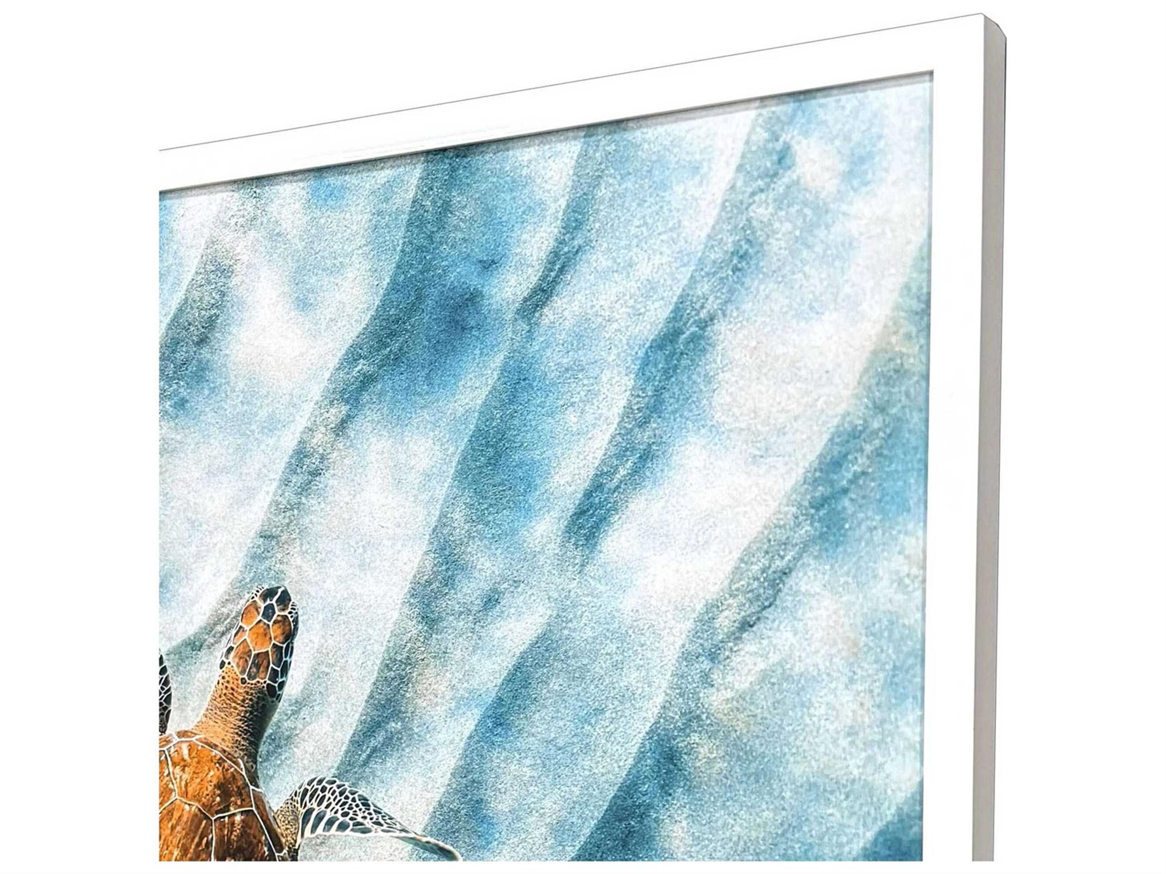 Paragon Animals Sandbar Sea Turtle Wall Art