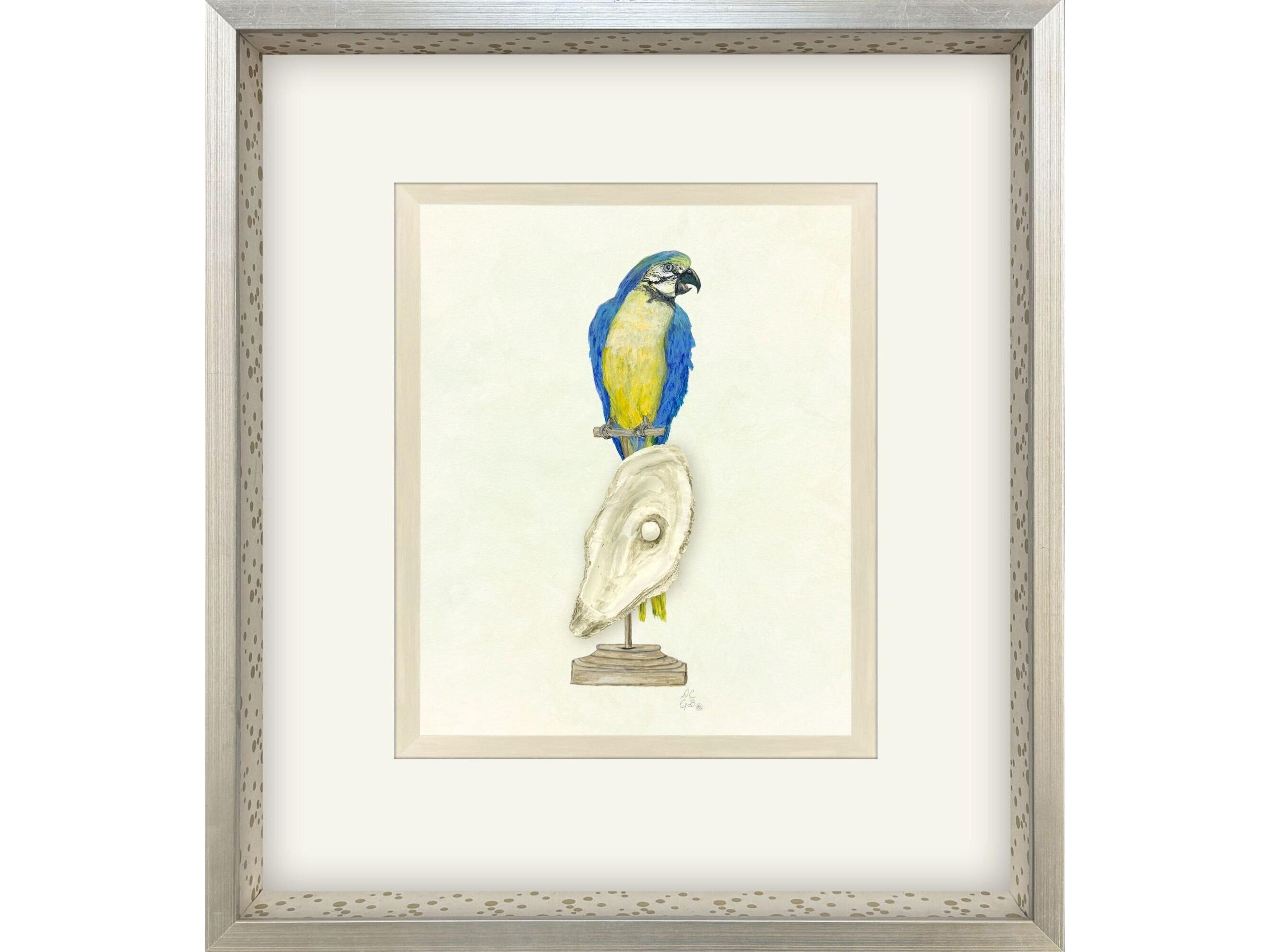Paragon Treasure Parrot I Framed Art